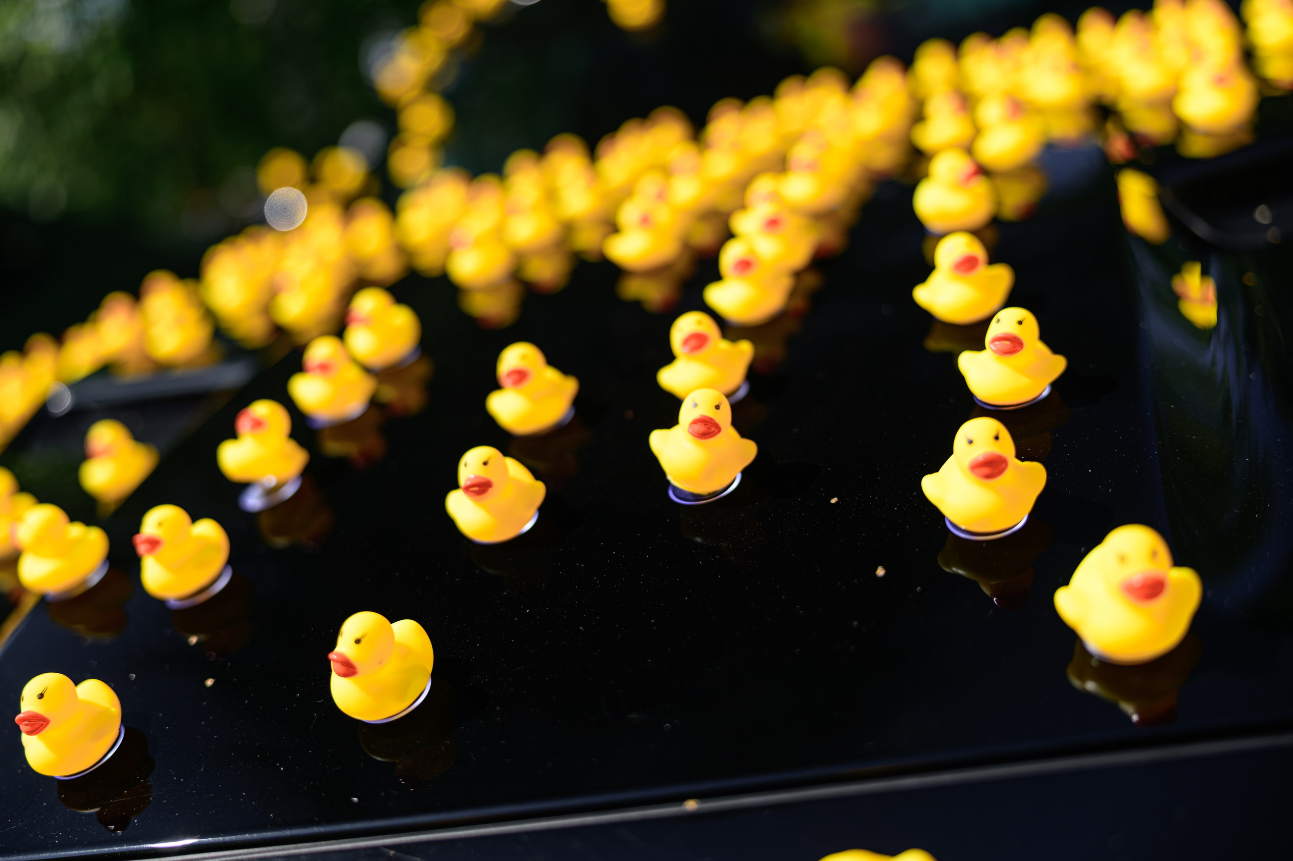 Tuning Open Fest 2025. Авто и мотоспорт — фотограф Антон Медведев iCoguar