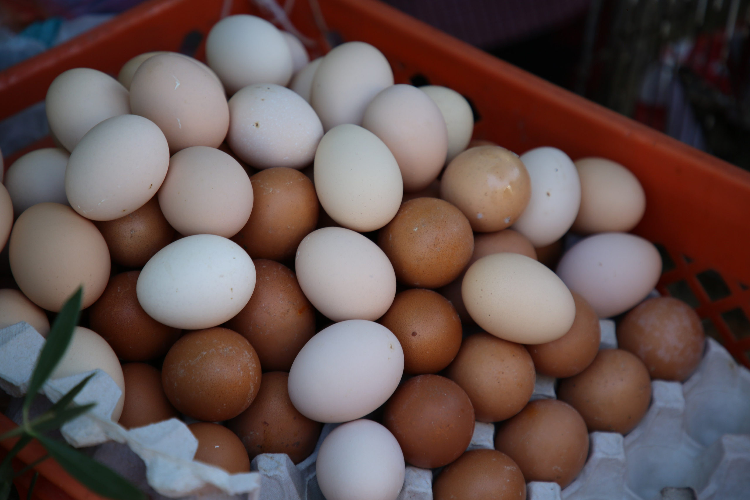 Espihnio, Portugal. Andrey Filippov Photographer