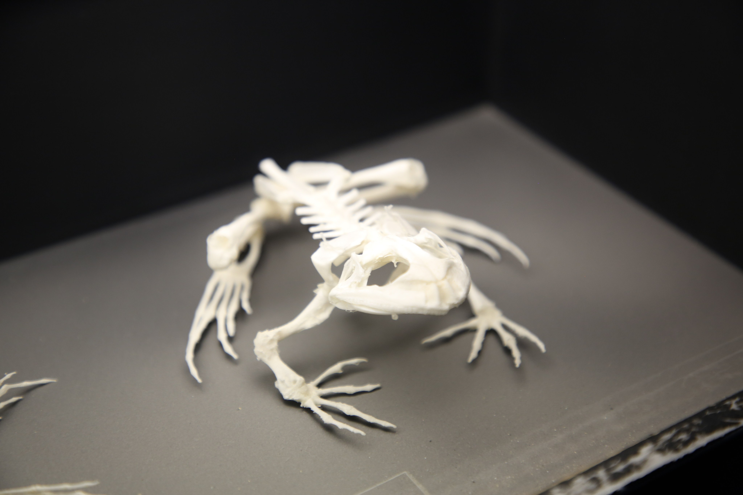 Lisbon, Portugal. Andrey Filippov Photographer