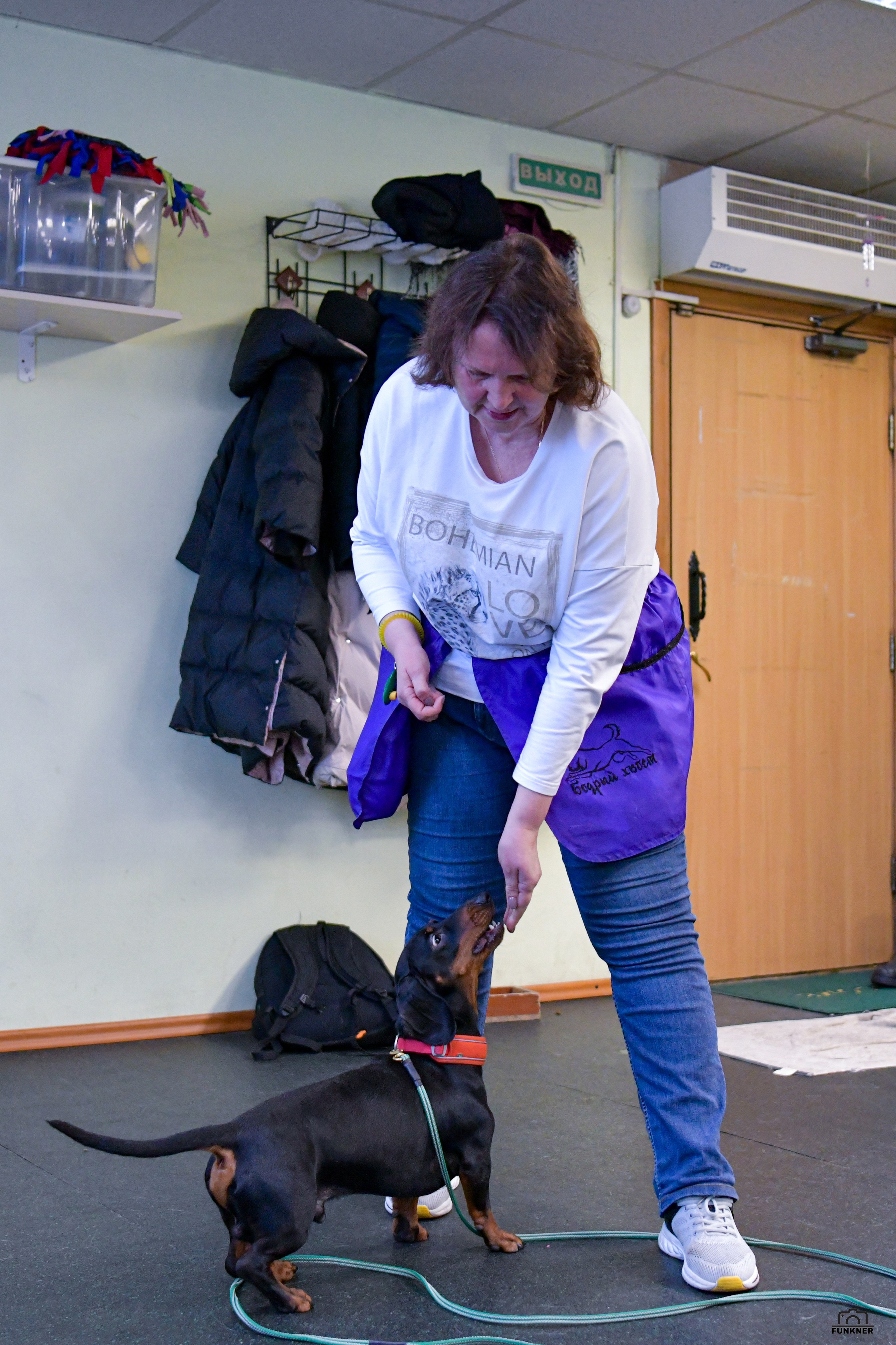 Кинологический клуб «Бодрый хвост». Свой взгляд через объектив