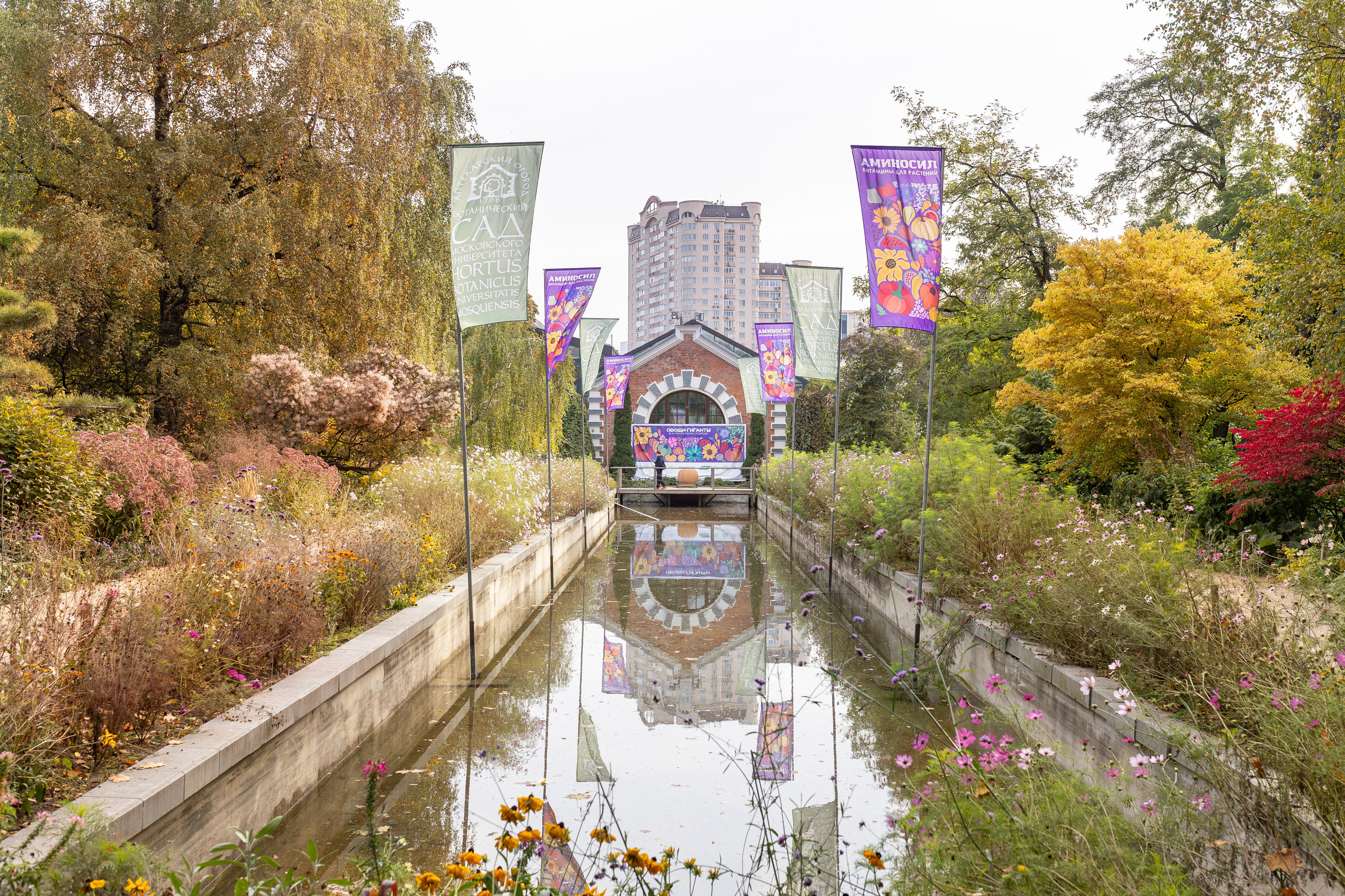 Овощи-гиганты. Александра Куликова фотограф, Москва