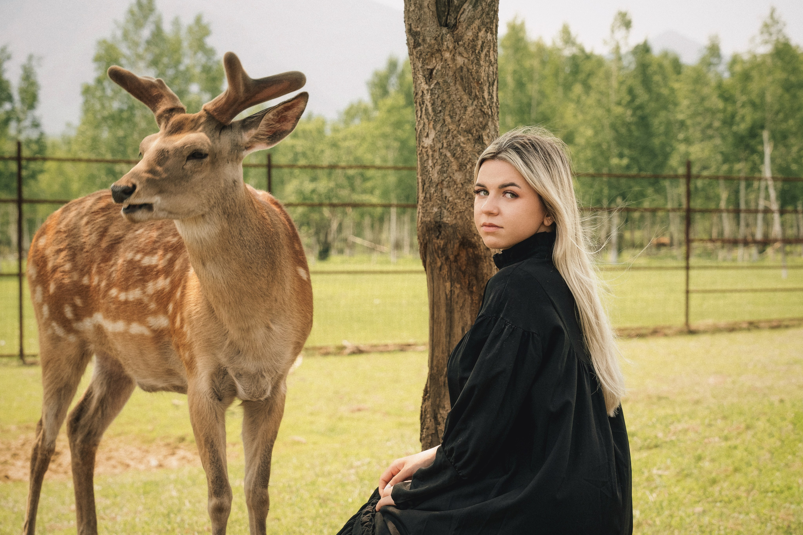 Мараловая ферма. Семейный фотограф анималист г. Находка