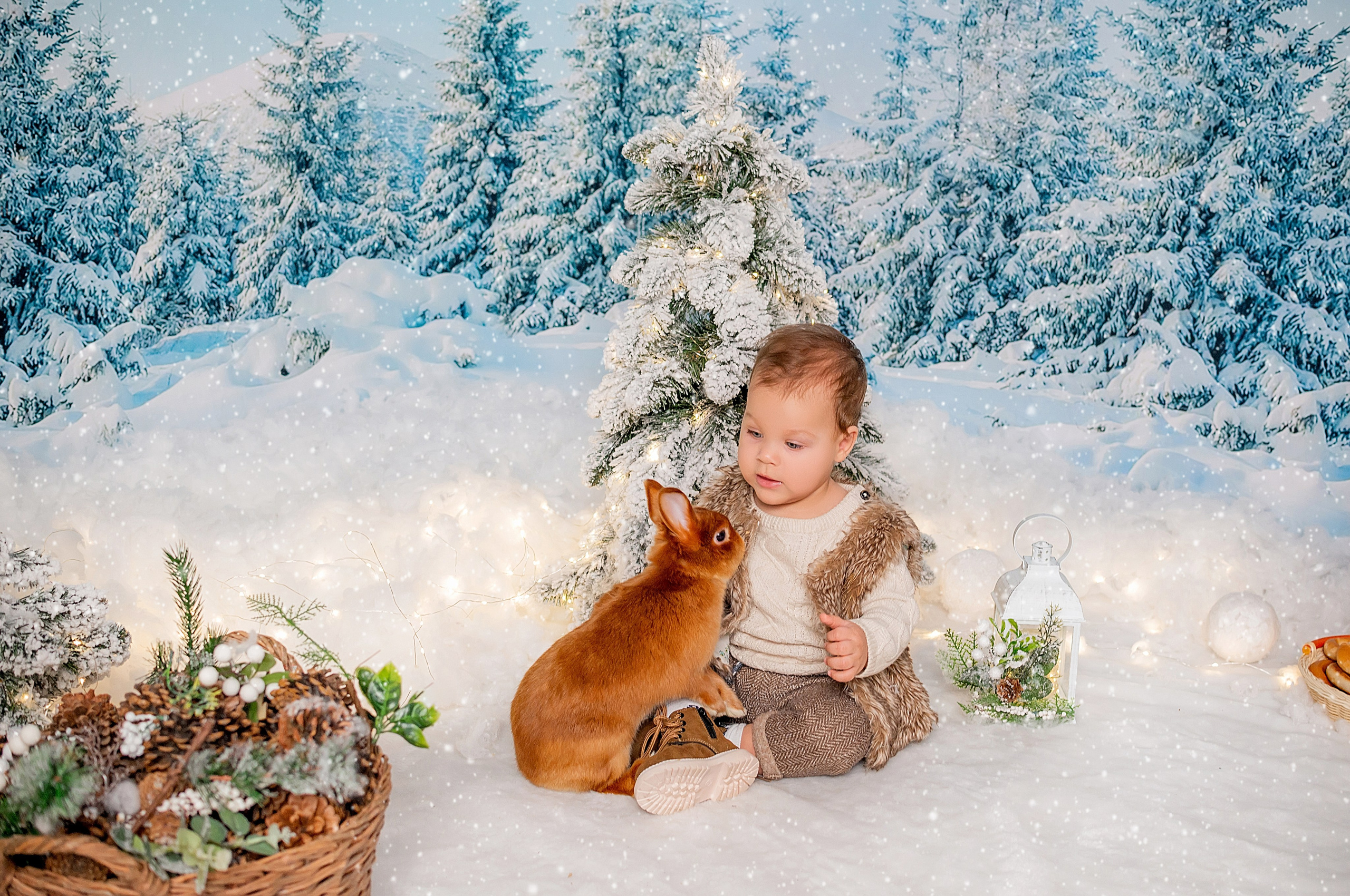 Новогодняя семейная фотосессия в Краснодаре 2023-2024. Фотограф новорожденных Краснодар Малышенко Надежда