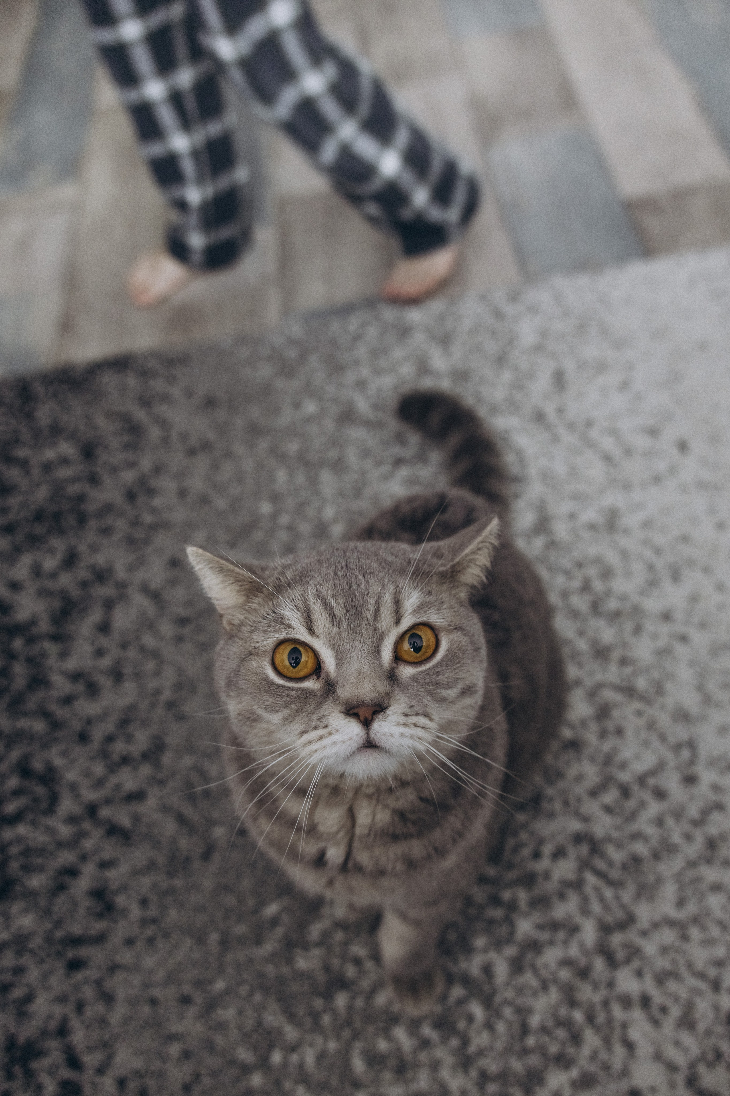 Домашняя фотосессия. Фотограф в Новосибирске Екатерина Васильева