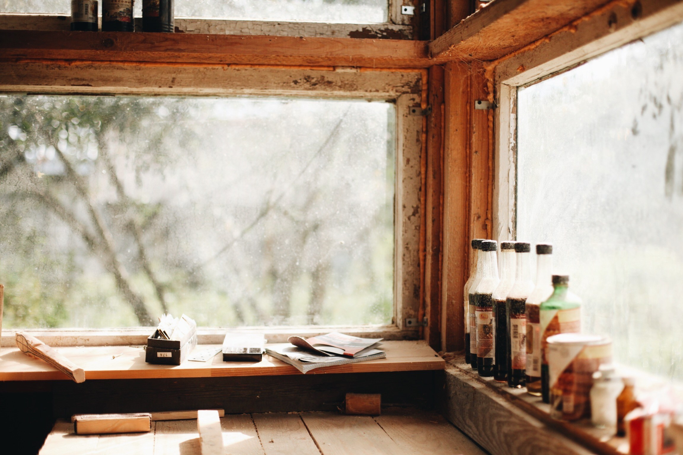 Seasons of Life. Ксения Плотникова