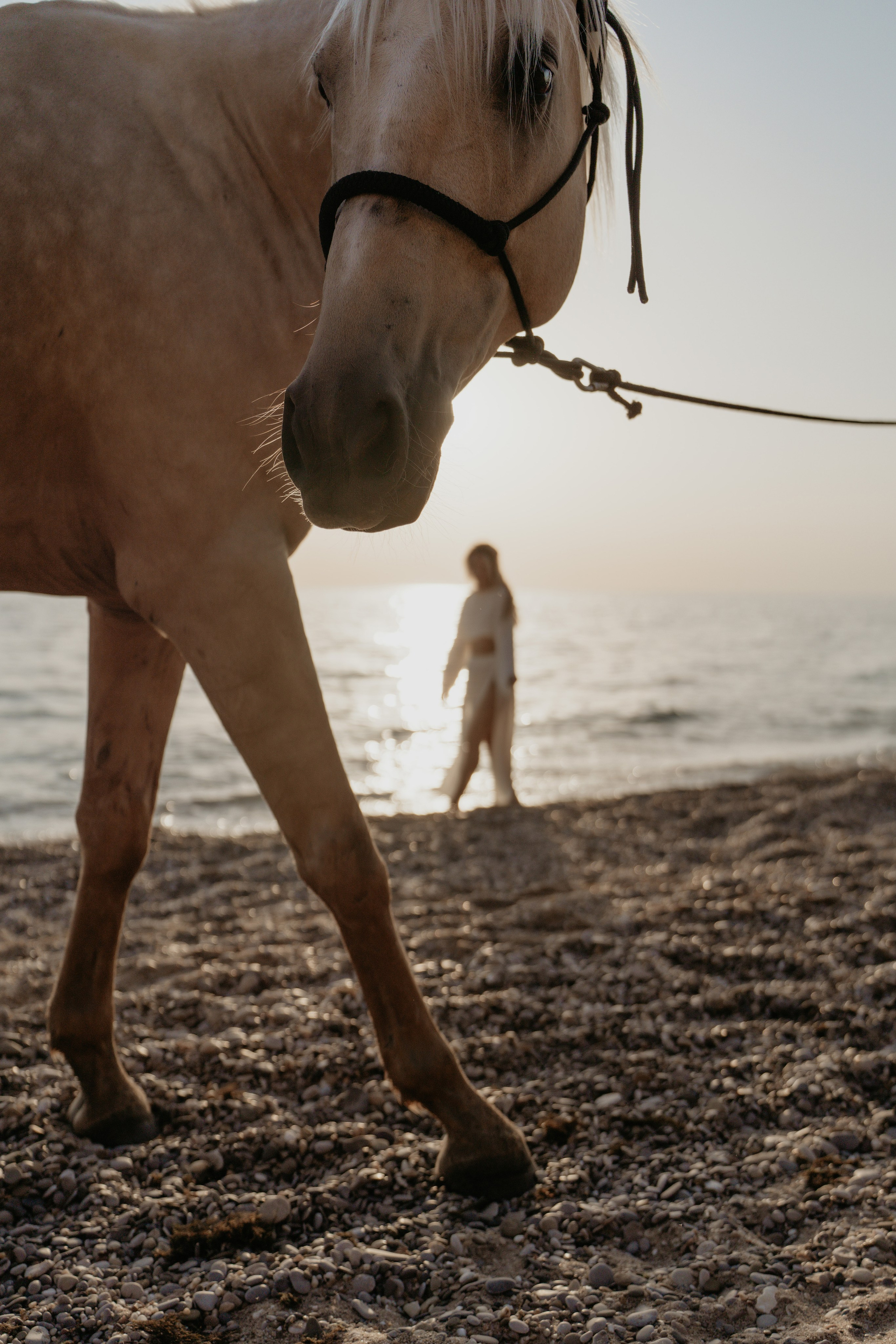 Anna. Фотограф и Видеограф Севастополь Крым