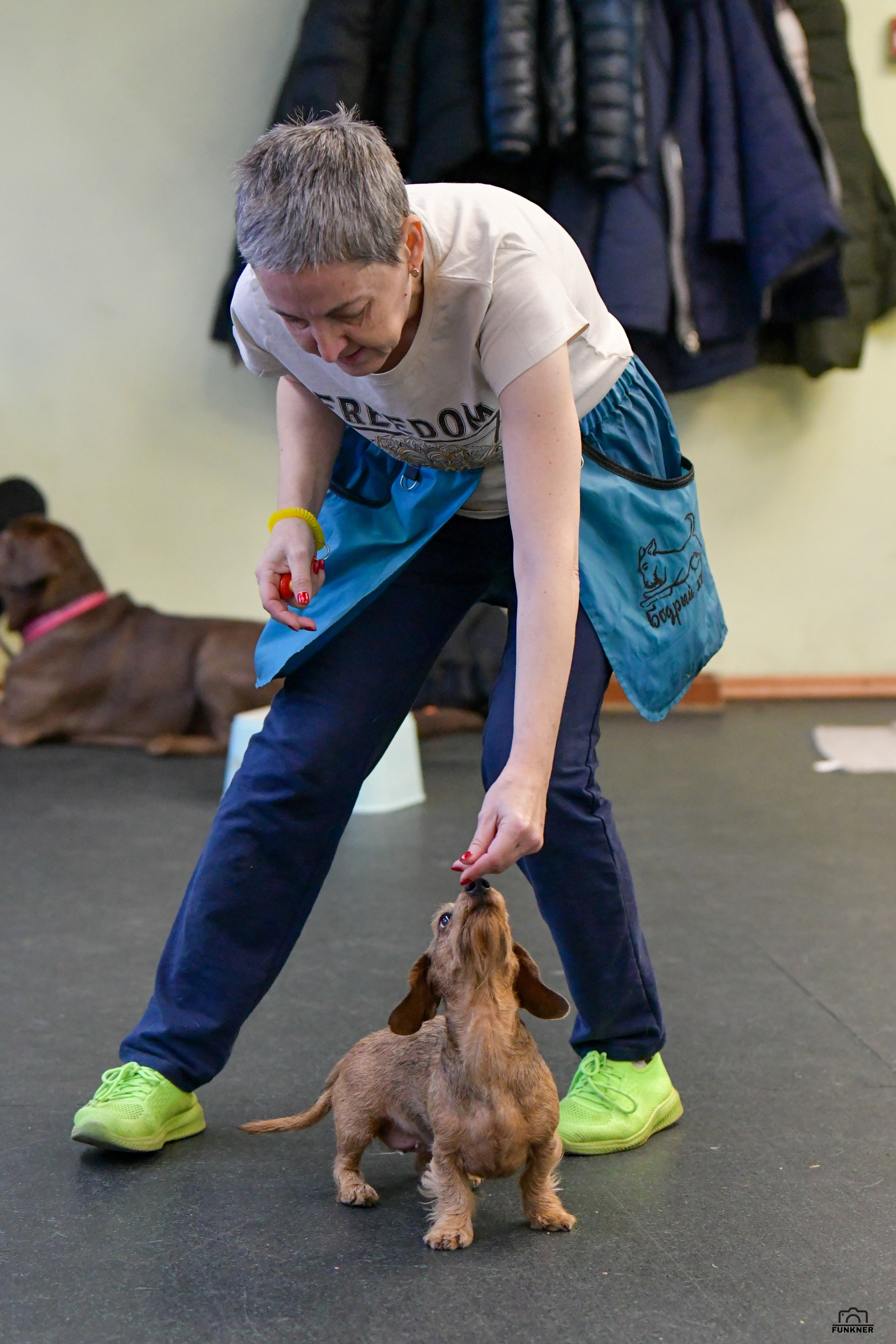 Кинологический клуб «Бодрый хвост». Свой взгляд через объектив