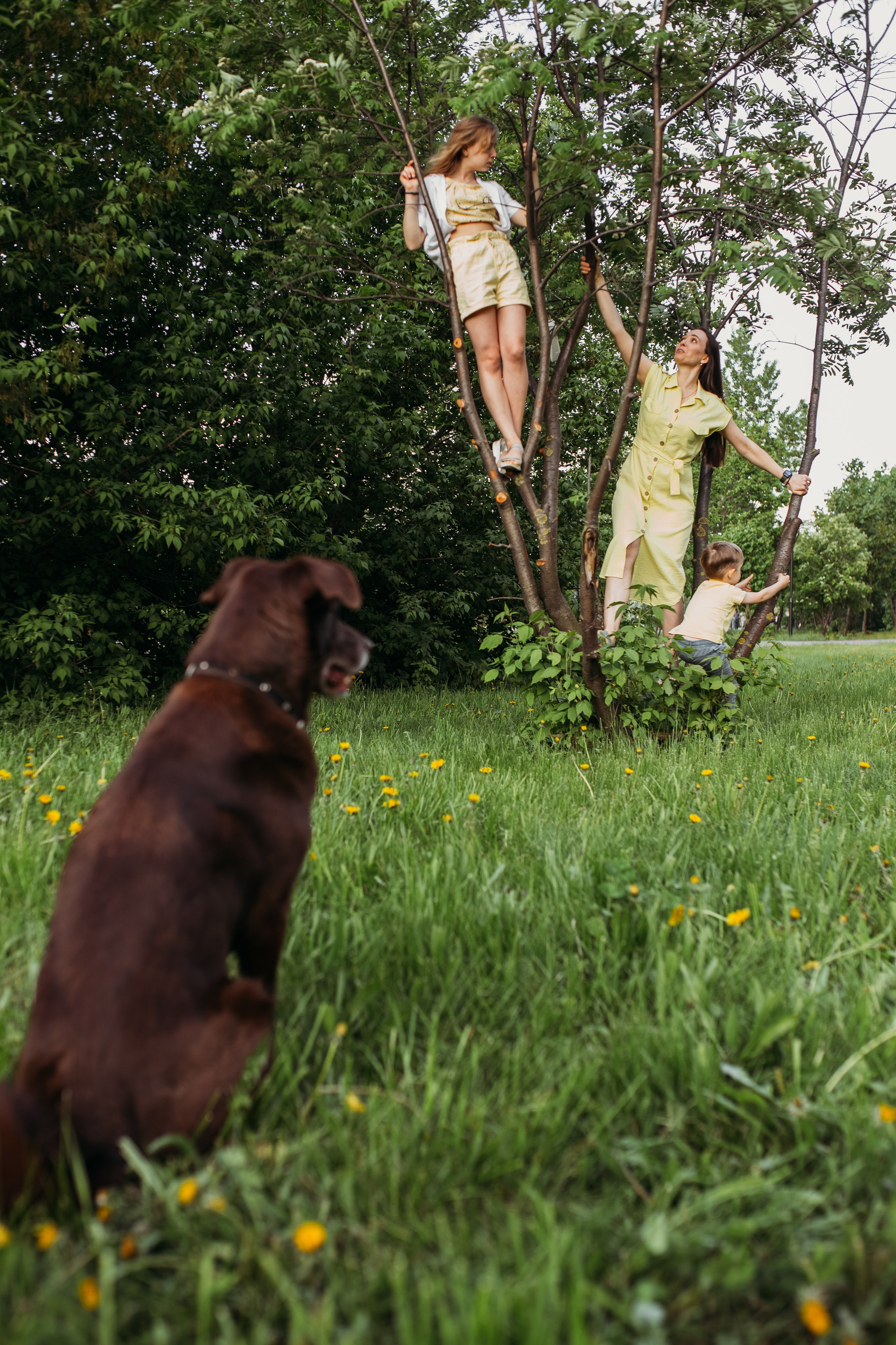 Катя, Юля, Матвей и Макс. Семейный и детский фотограф в Нижнем Новгороде Наумова Лидия