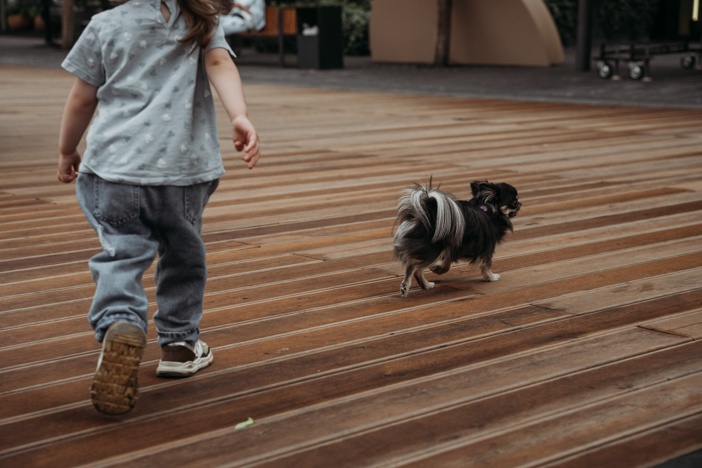 Дамы с собачкой. Семейный и детский фотограф в Москве
