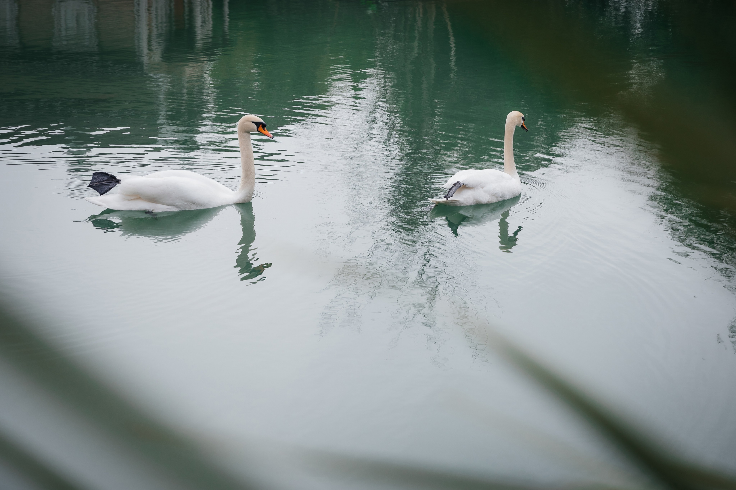 Love story Весна. Свадебный и семейный фотограф Краснодарский край