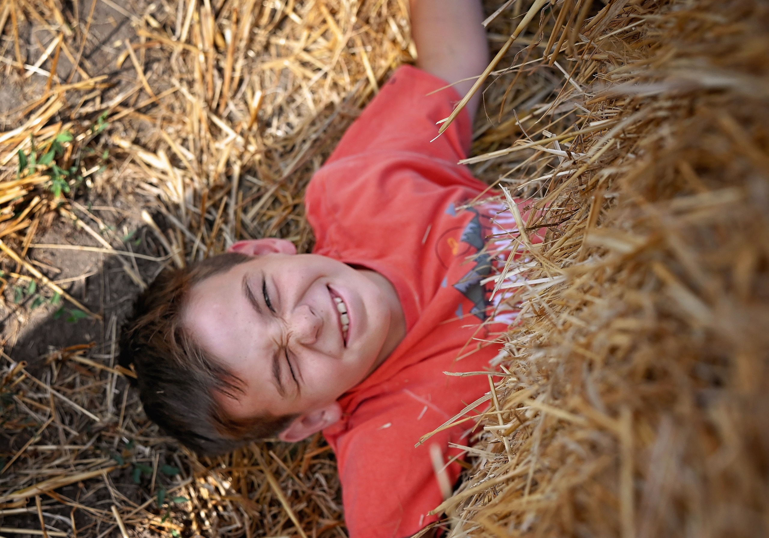 Сено. Главная