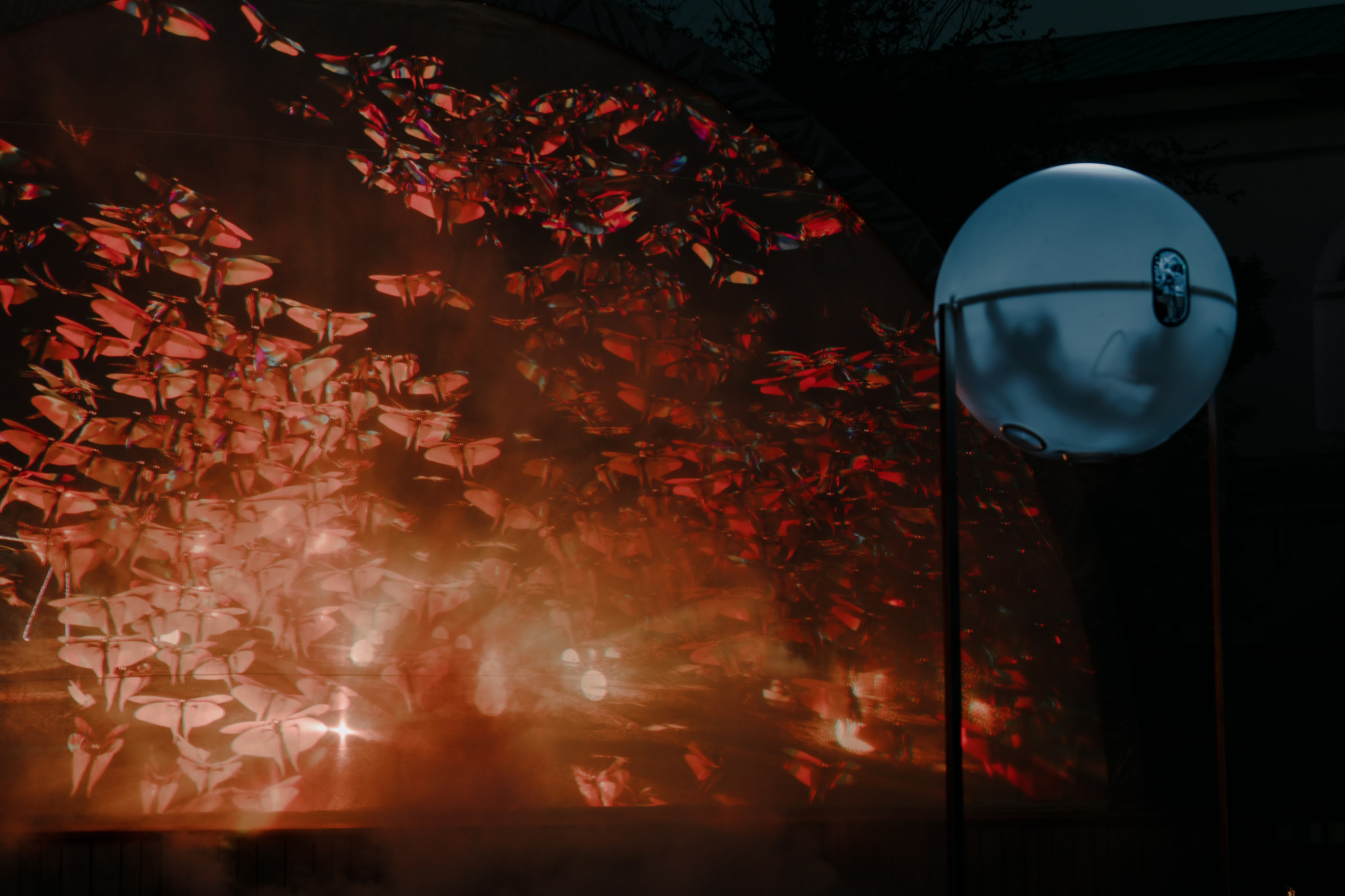 NUR 2024. @tomrus: Рустам Шагиморданов — фотограф