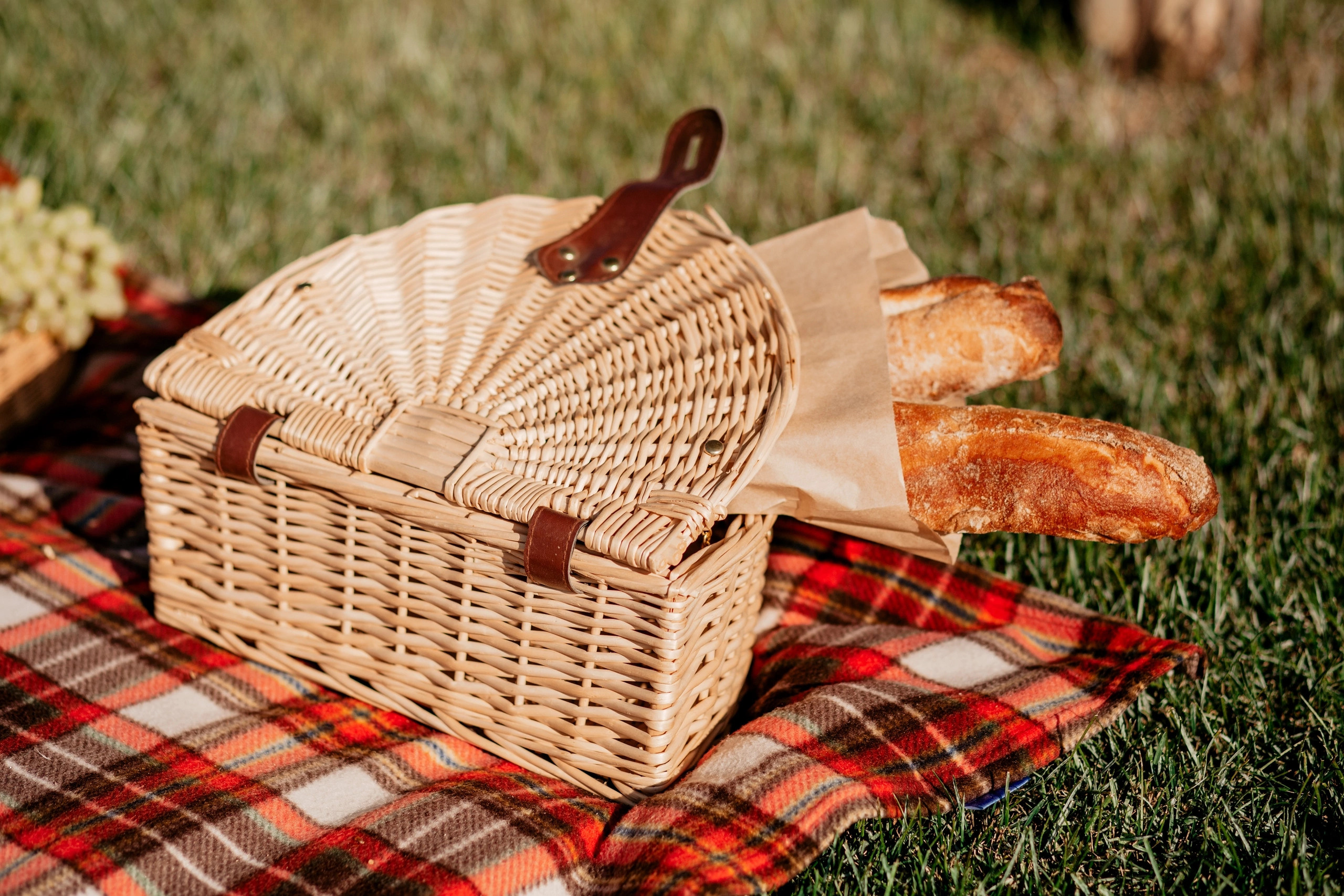 Love story в виноградниках ❤️. Свадебный и семейный фотограф в г. Краснодаре Олеся Токарь