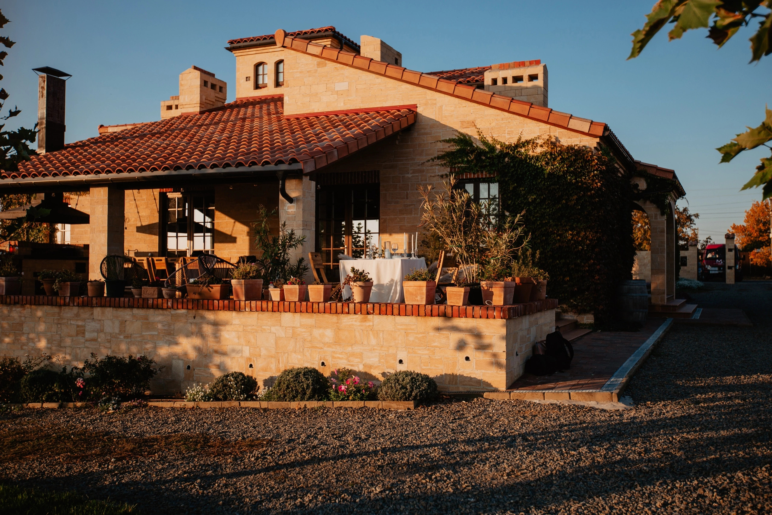 Love story в виноградниках ❤️. Свадебный и семейный фотограф в г. Краснодаре Олеся Токарь