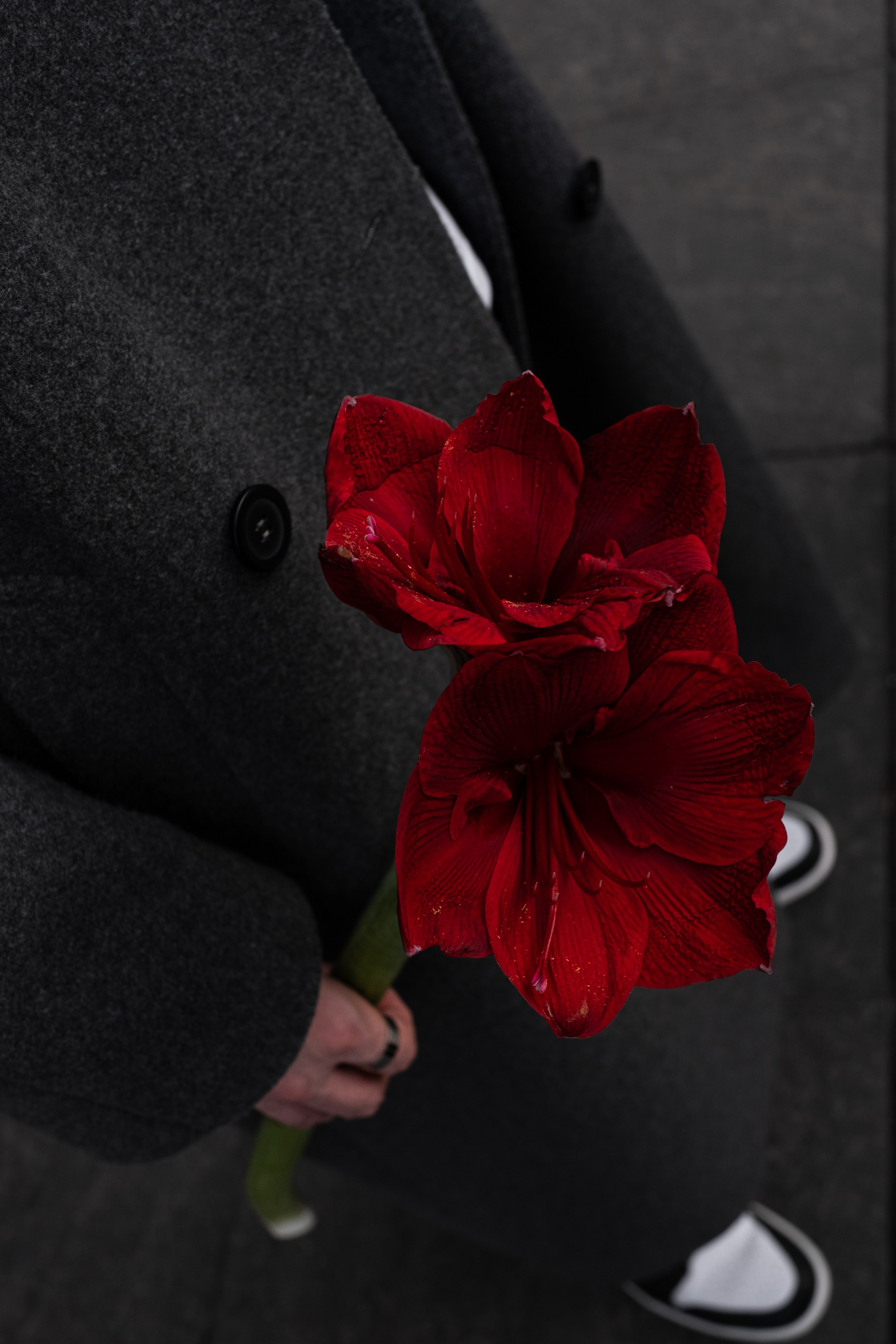 Фотограф из Санкт-Петербурга. Снимаю портреты, свадьбы и репортажи