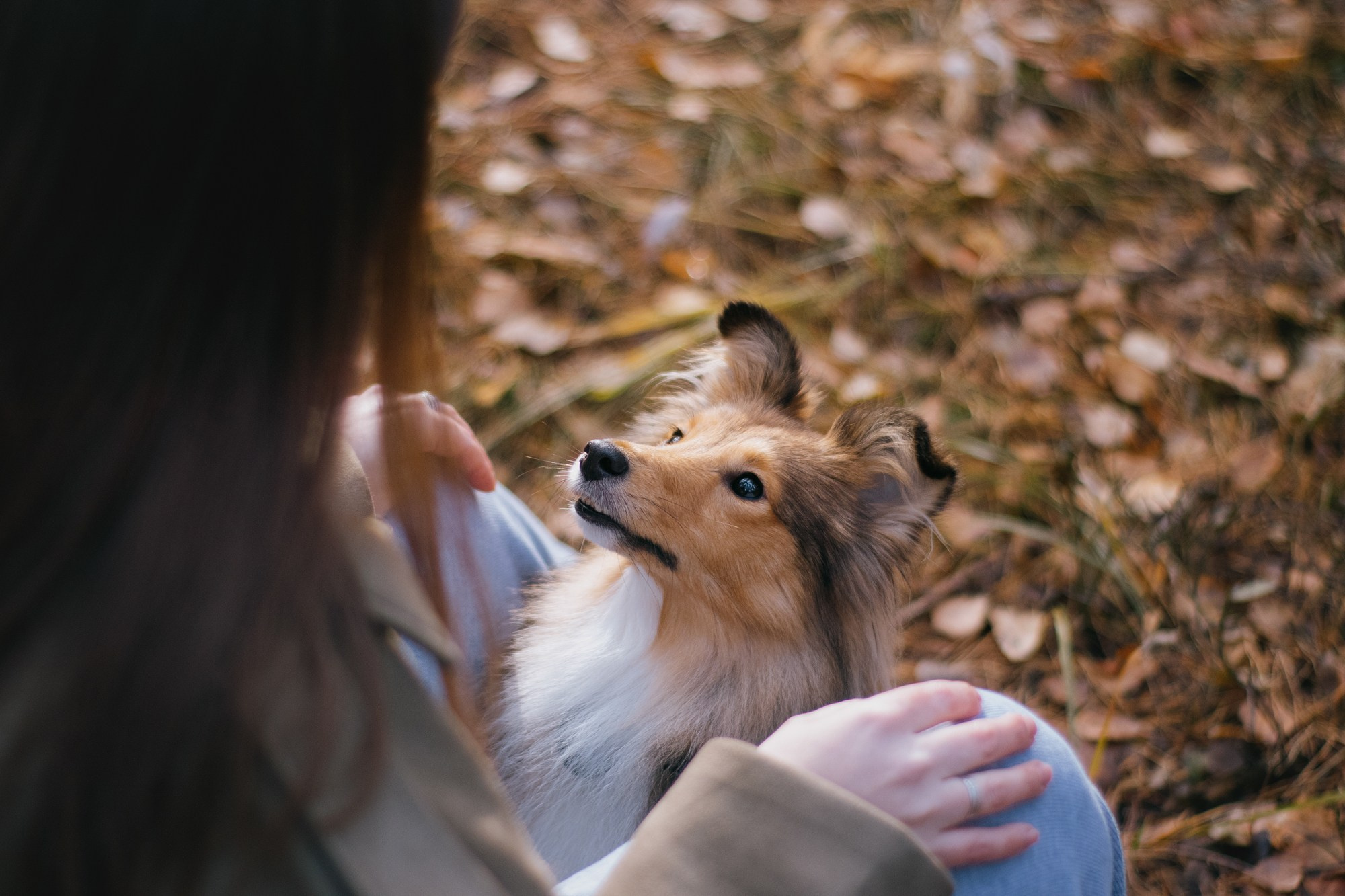 Анна и Габи. Фотограф в Тюмени Лизавета Сапицкая