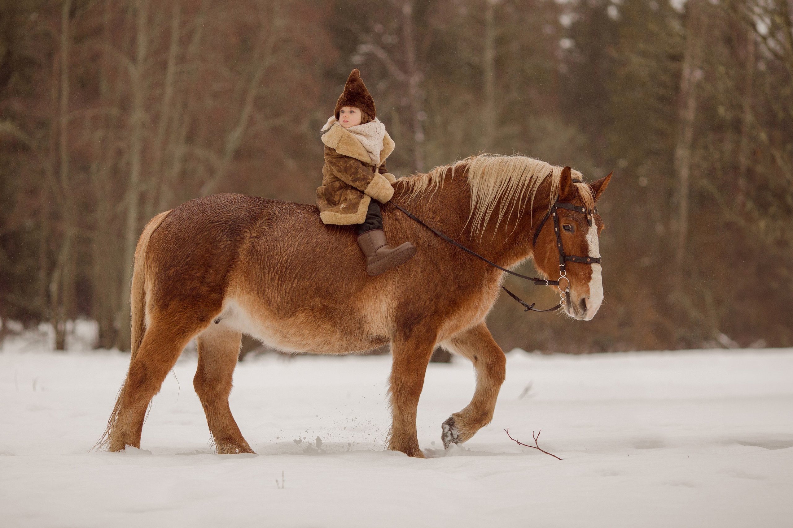 Фото мальчика и лошади зимой