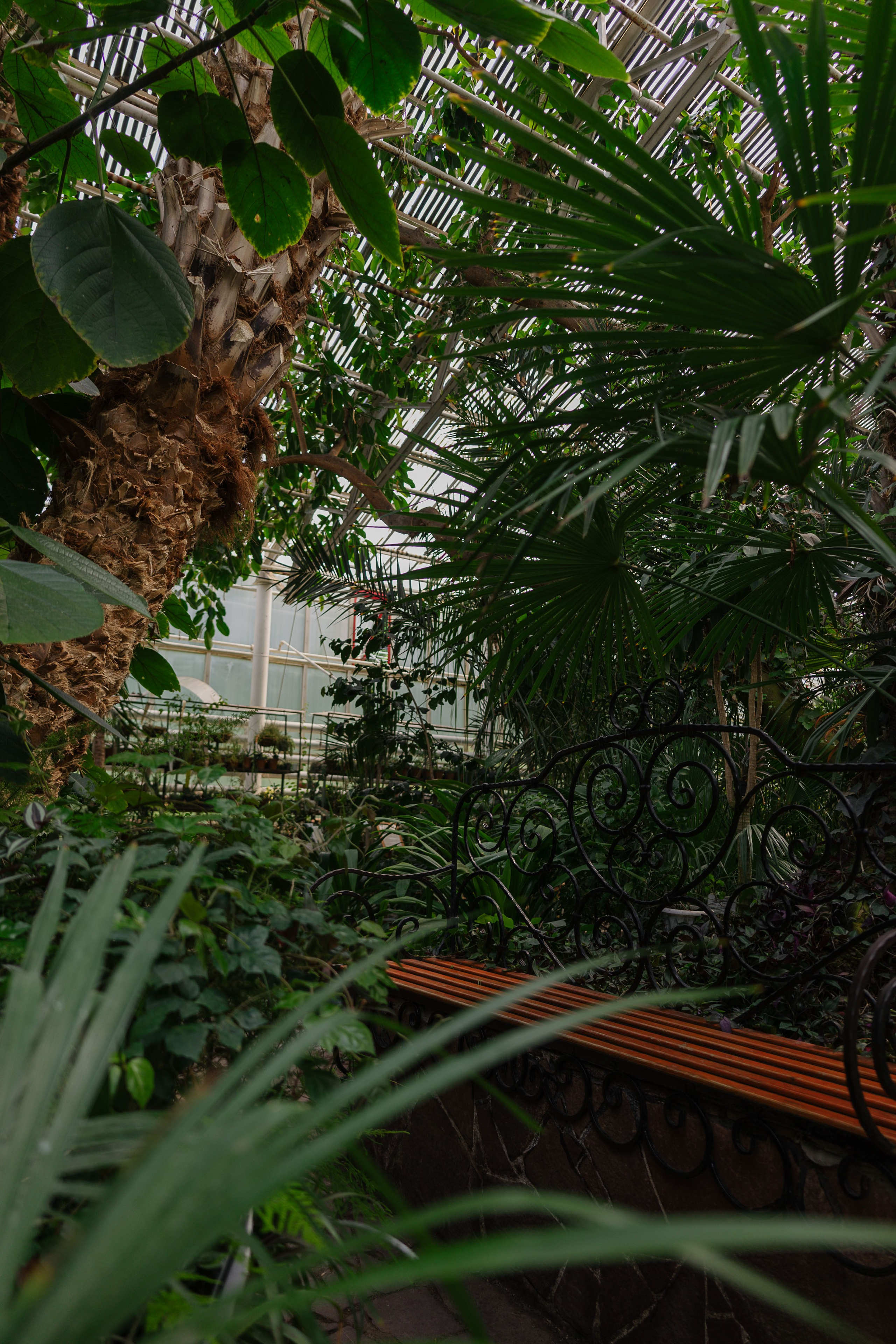 Ботанический сад Уфа. Оранжерея Уфа