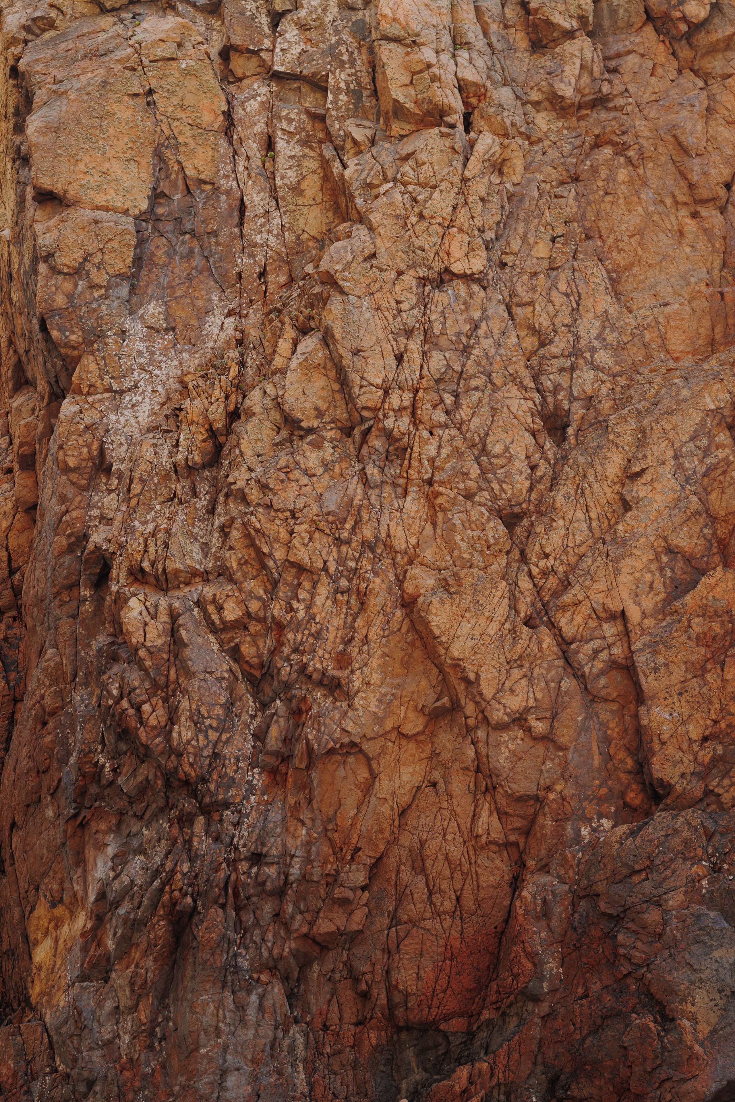 ЛЕТИ ЗА МНОЙ…. Wedding and family photographer in Vladivostok Anton Blokhin