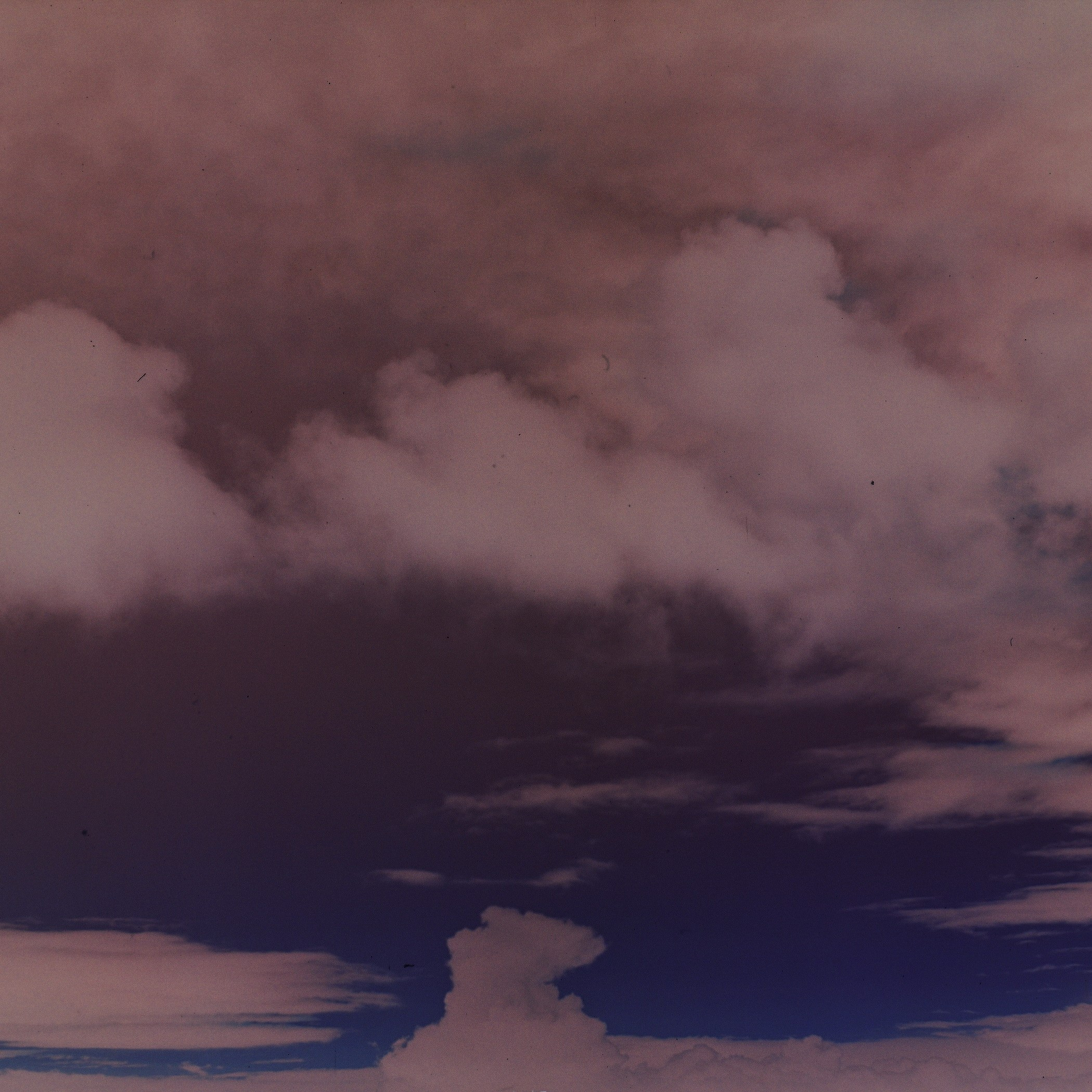 Юля Германович | Сад. Private image