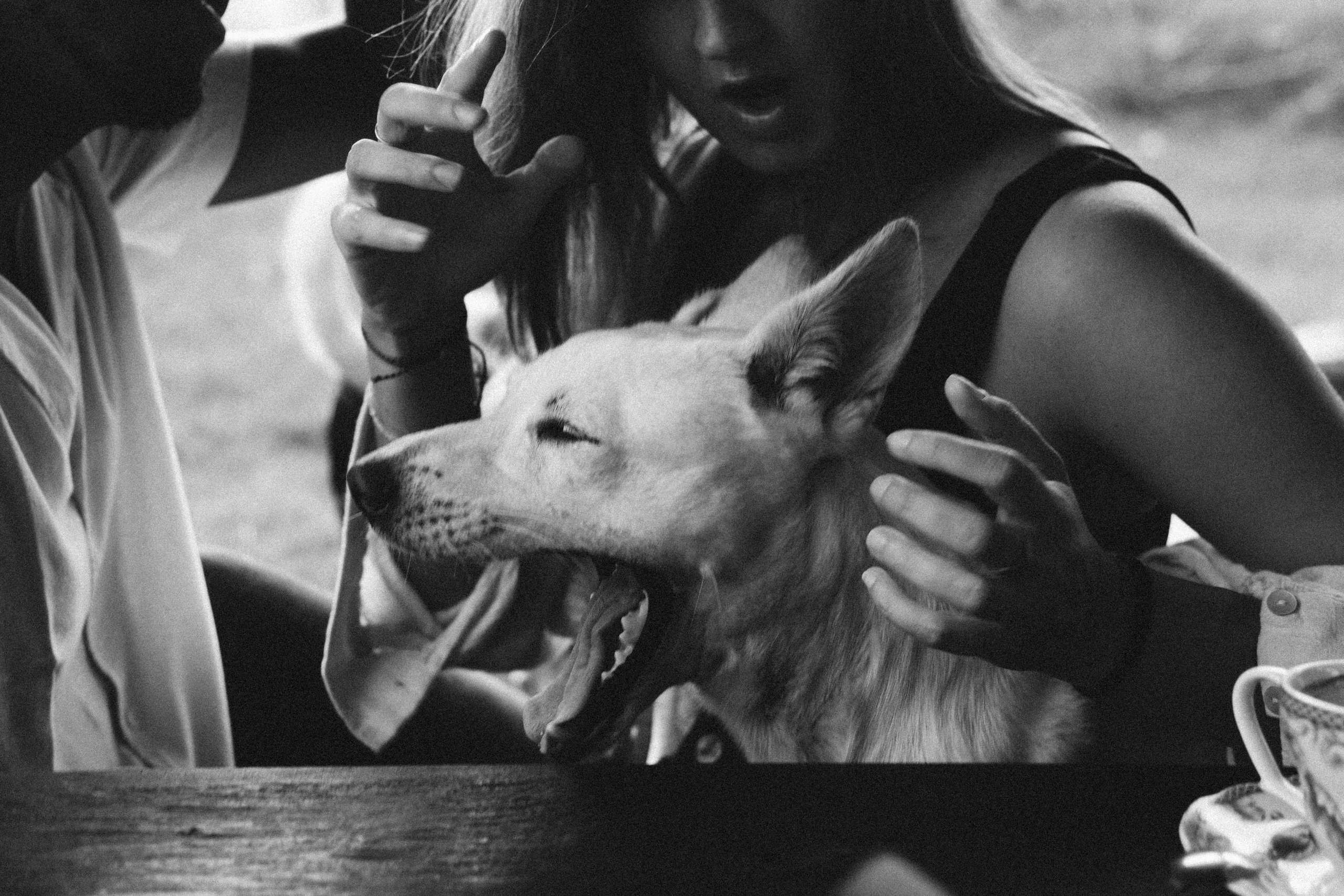 Зузанна и Фумаса. Ольга Антипова — фотограф