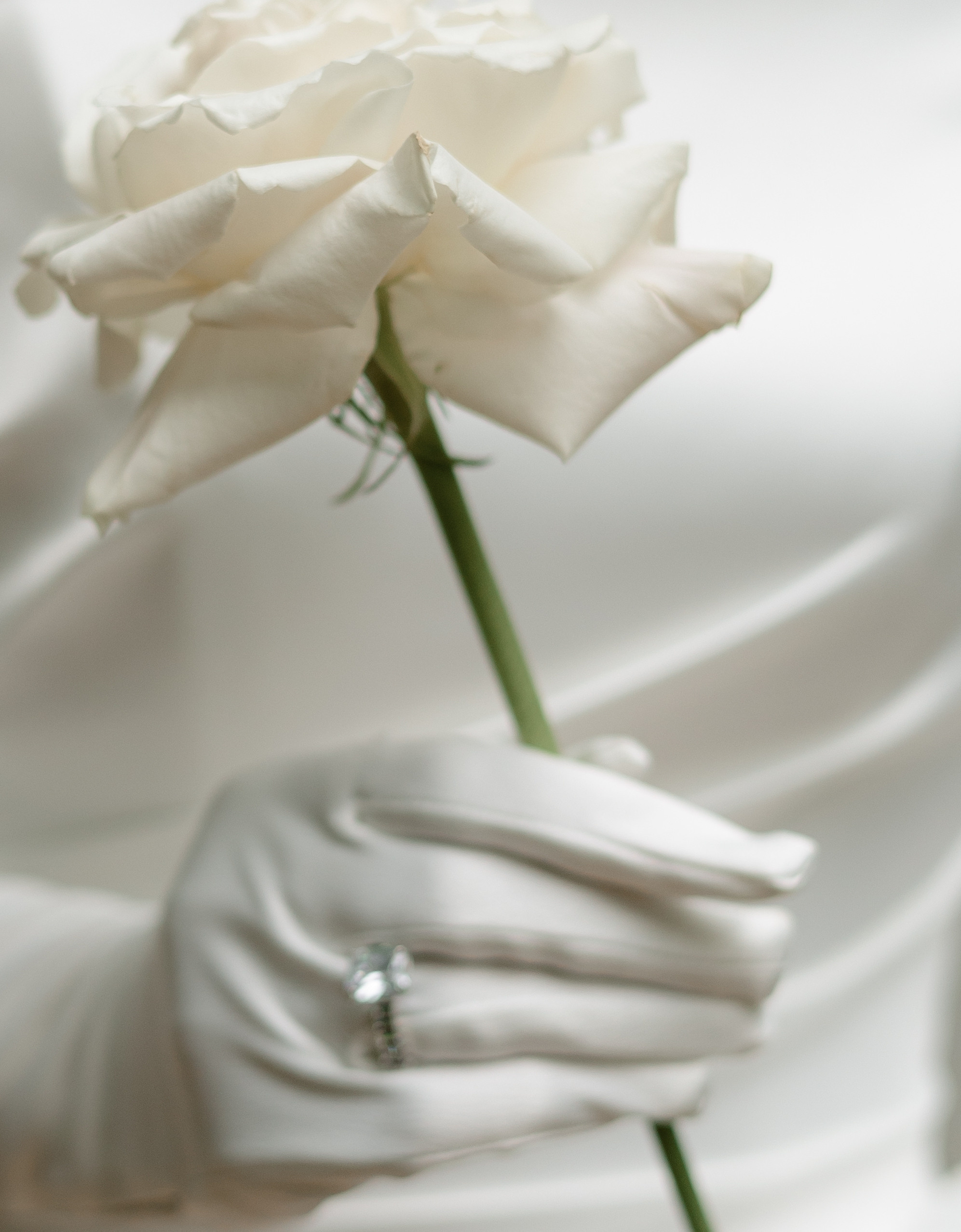 Nikita & Darya Wedding. Anton Prokopenkov Wedding and Portrait Photographer