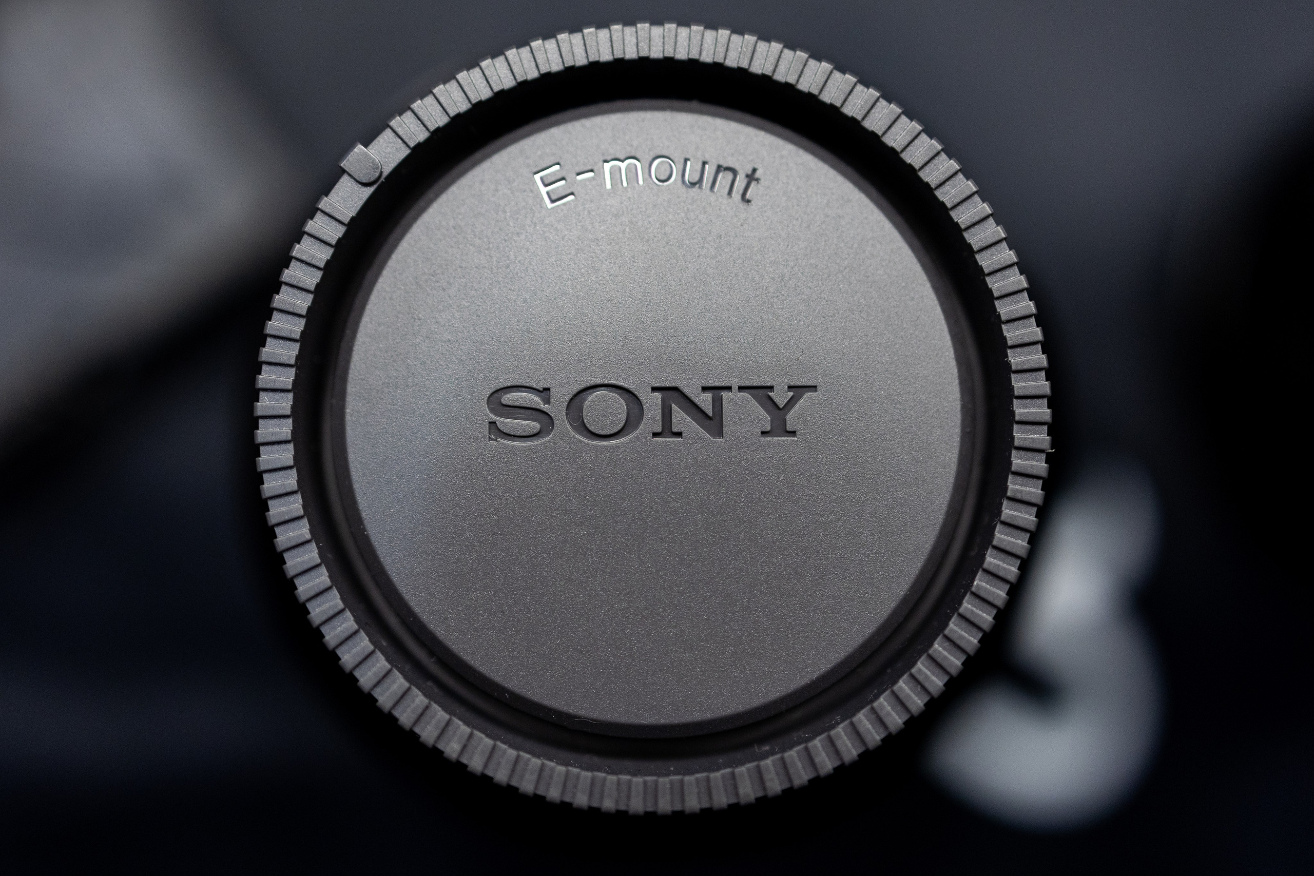 Таран Фотопарк Конференция. Самый свадебный фотограф