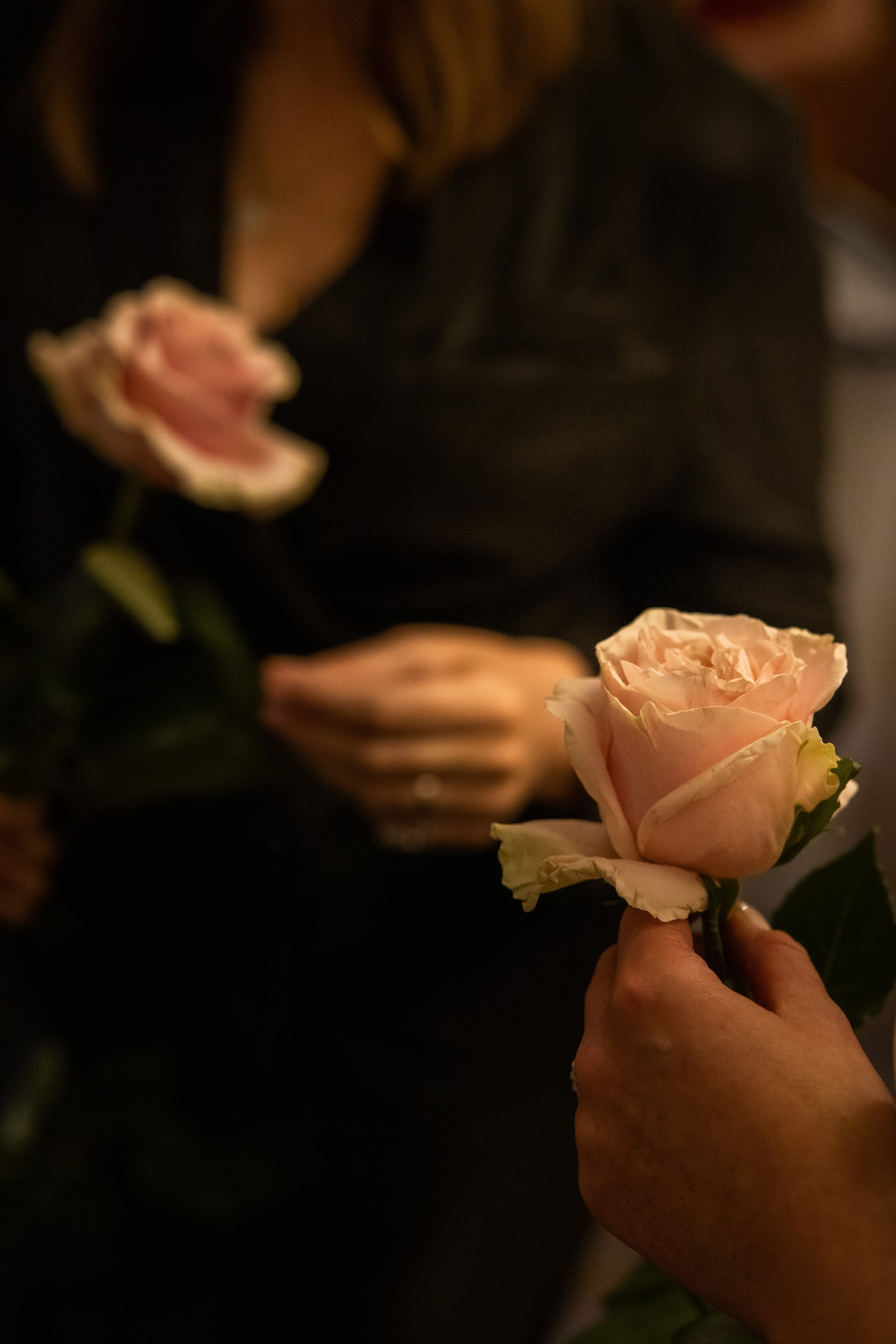 Арт встреча. Цветы и балет. Главная