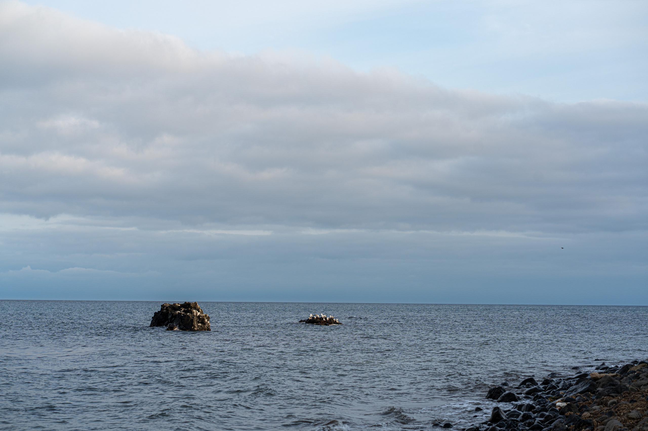 Сахалин 2025. Творческие сьемки