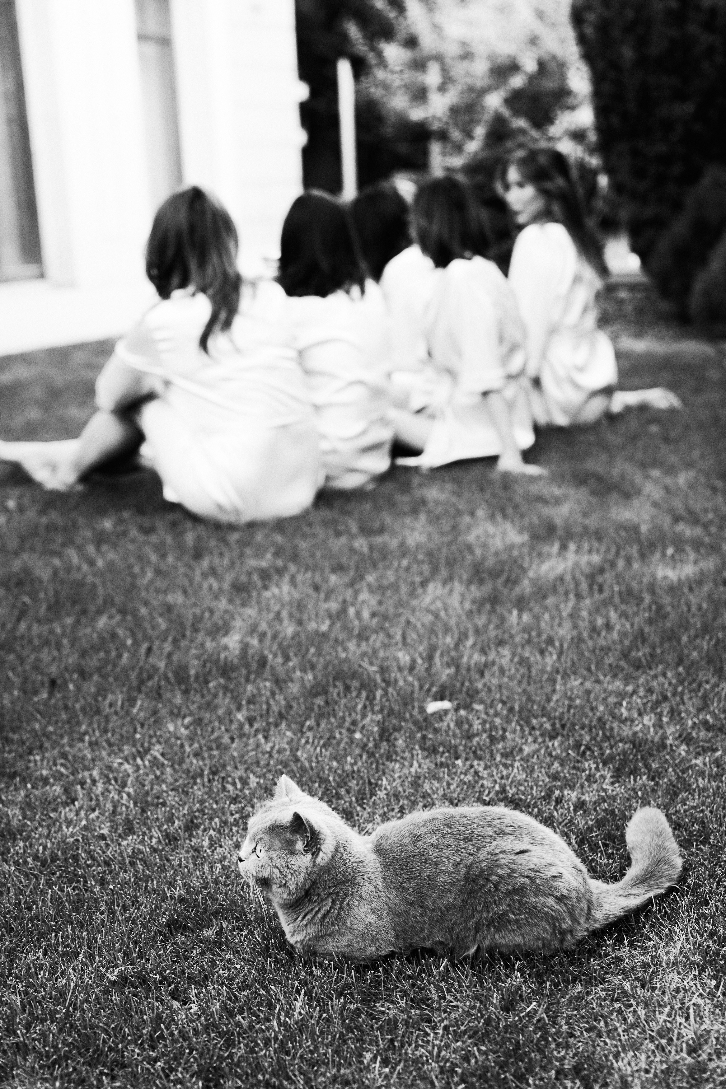 Families. Slozhnomarya