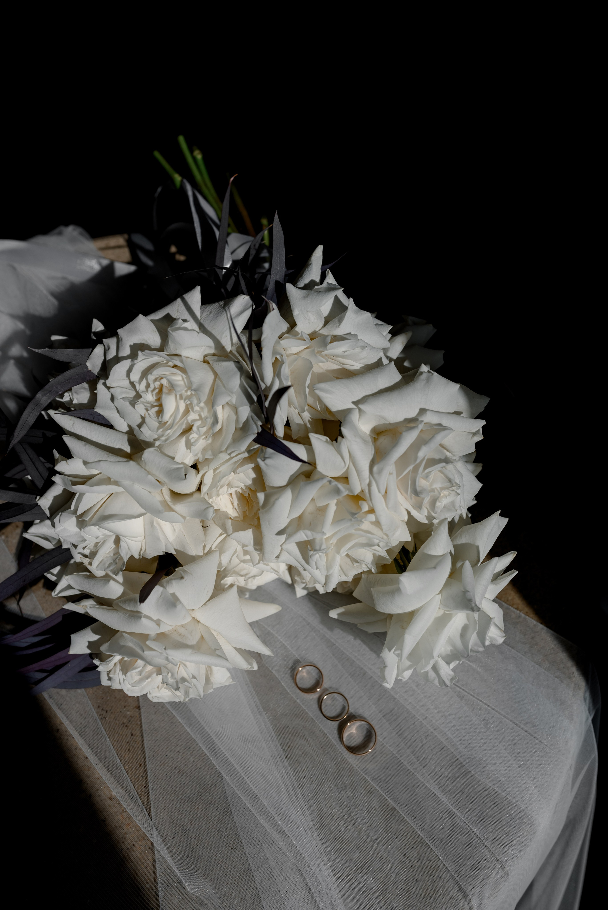 Фотограф Анна Абрикосова