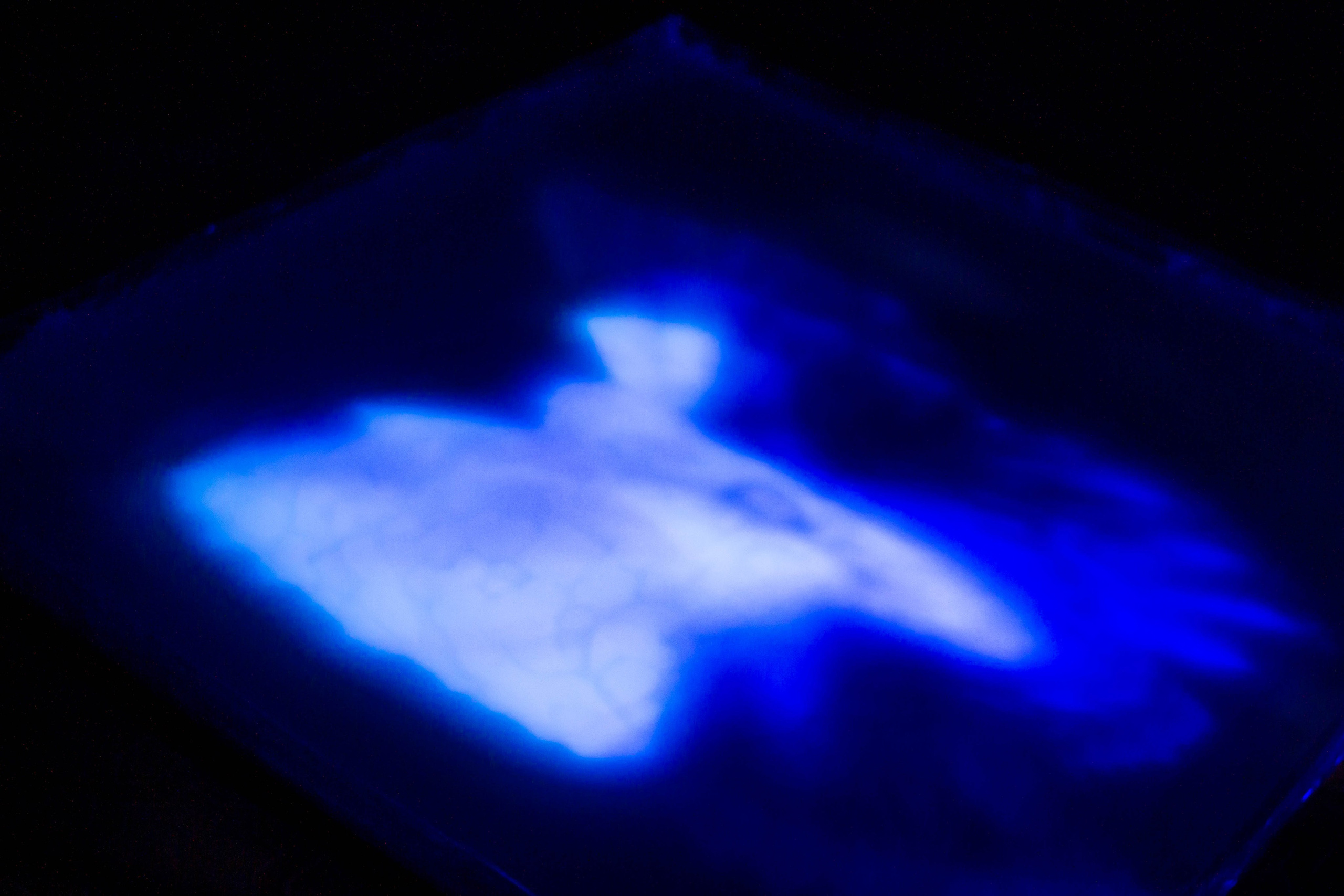 VI Межвузовский Хакатон DigitalArt.EACA