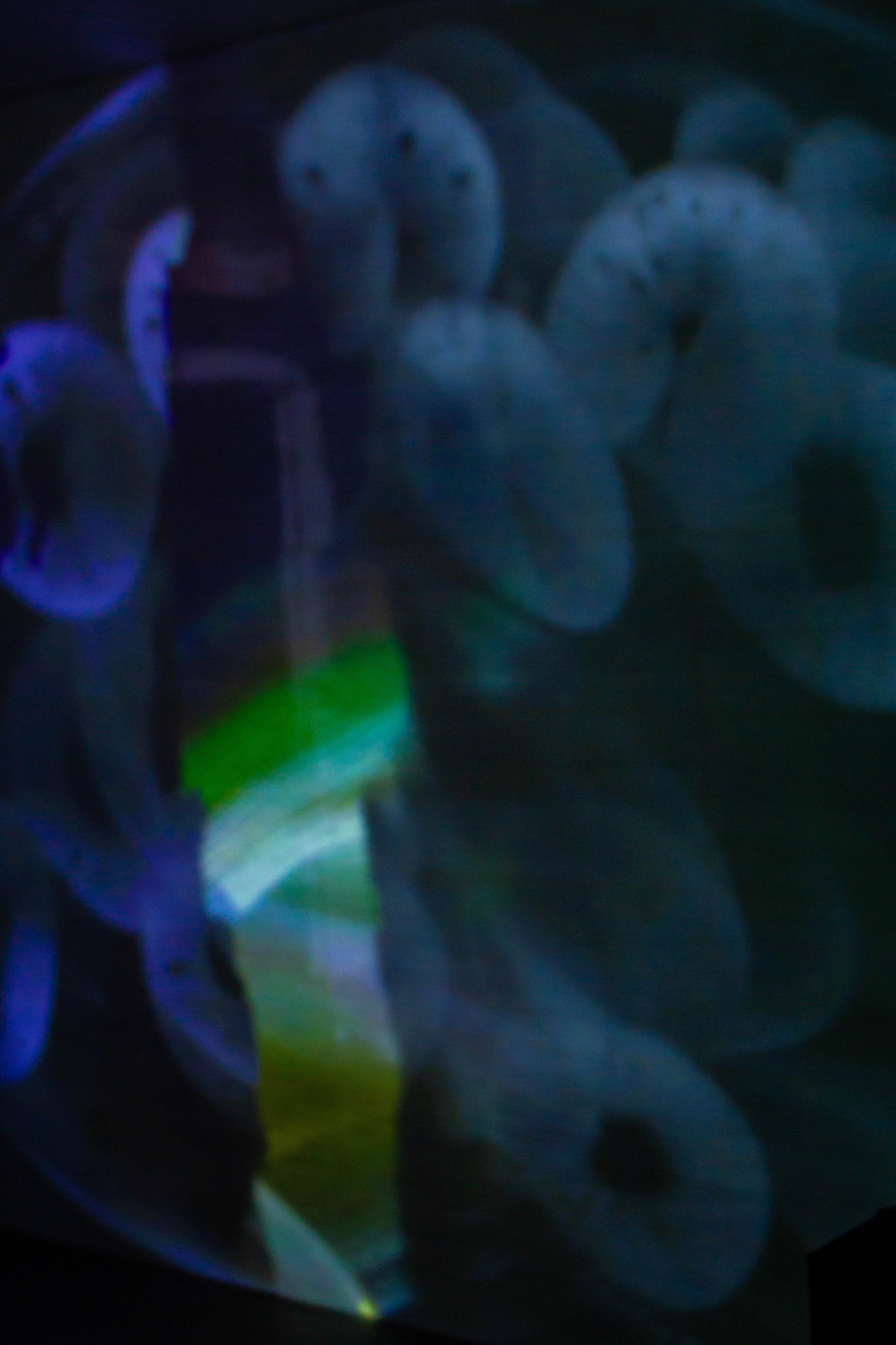 VI Межвузовский Хакатон DigitalArt.EACA