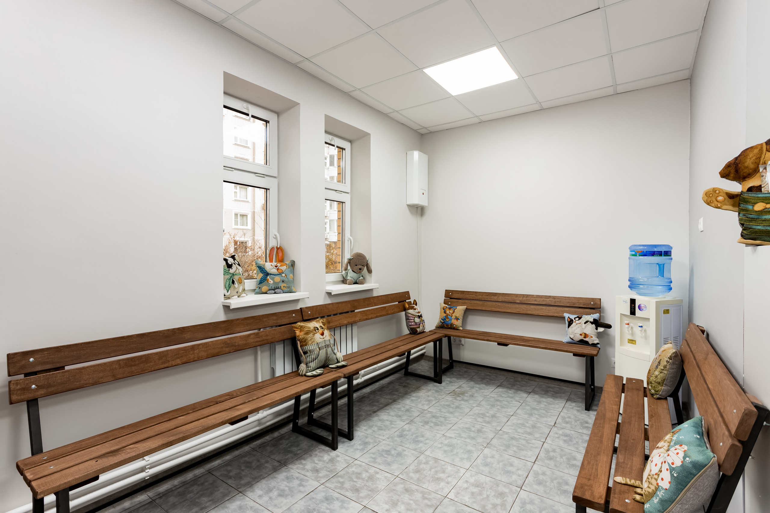 Интерьерная съемка для ветеринарной клиники КотОся. Интерьеры, Контент, Портреты | Фотограф в Москве Дани Терно