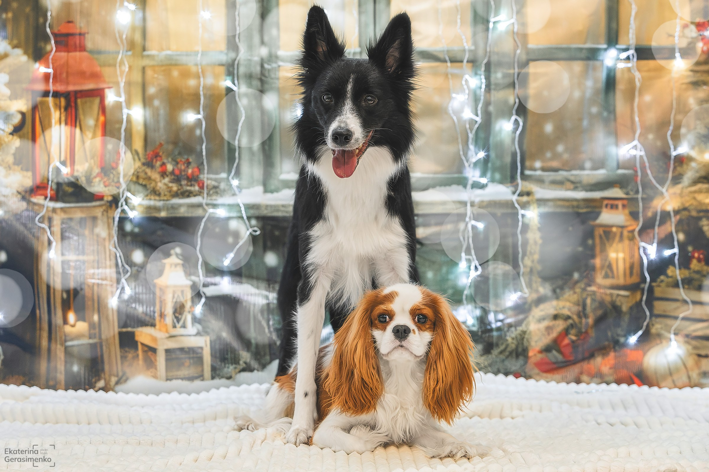 Фотодень. Htykk_photo