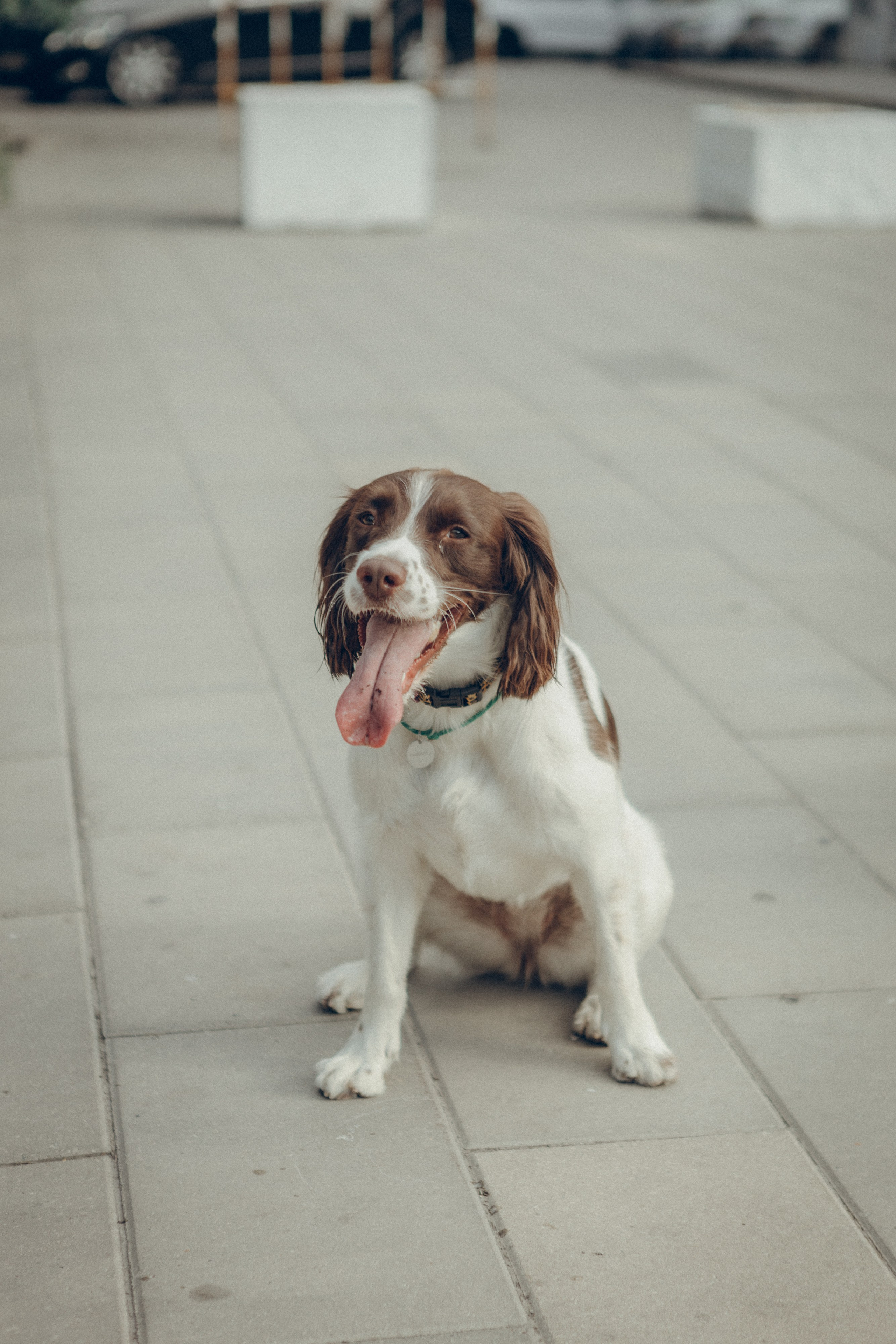 Family moment. Семейный фотограф и фотограф на роды в Ростове-на-Дону Мухина Виктория