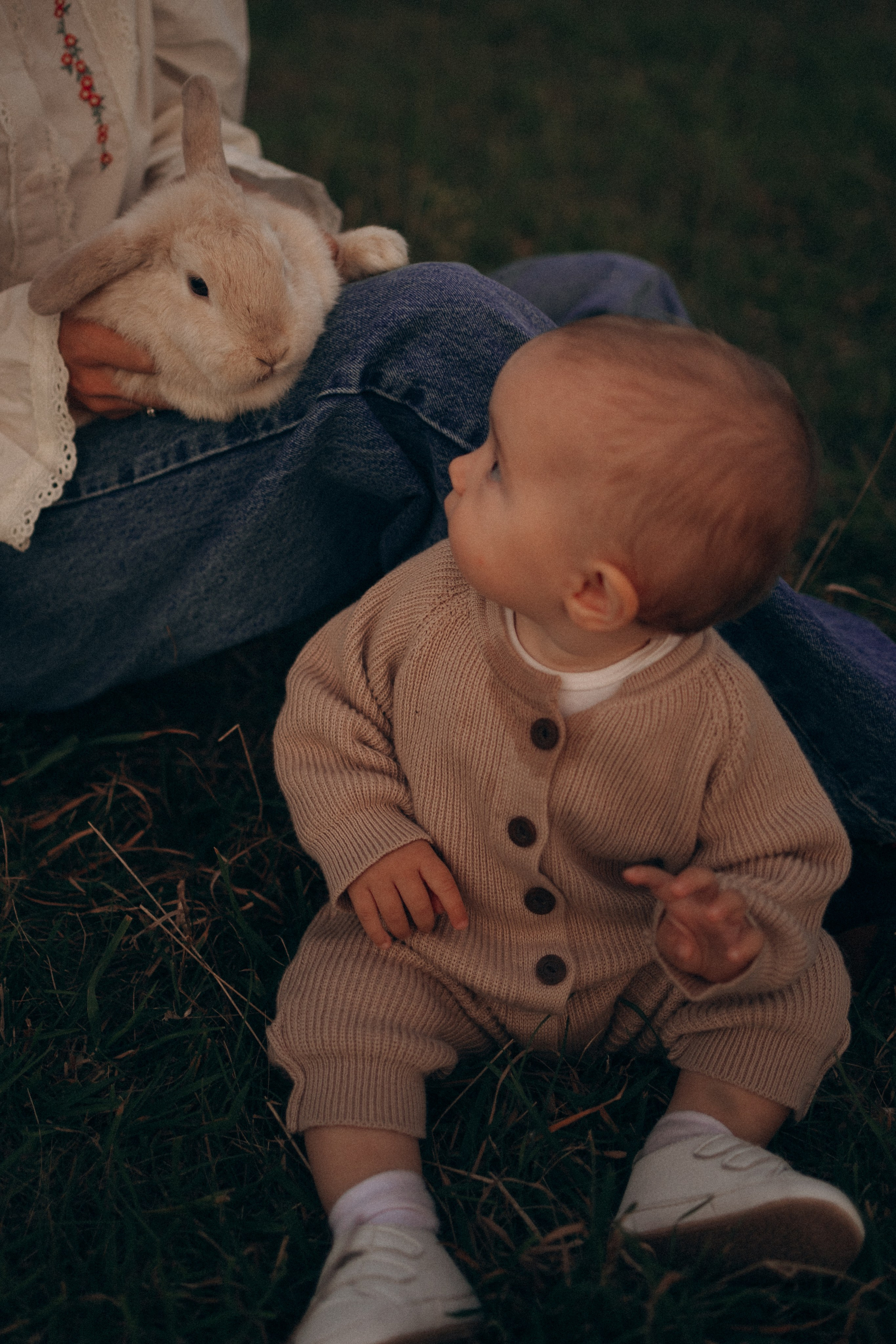 Семейная. Фотораф — анималист Мария Шистка