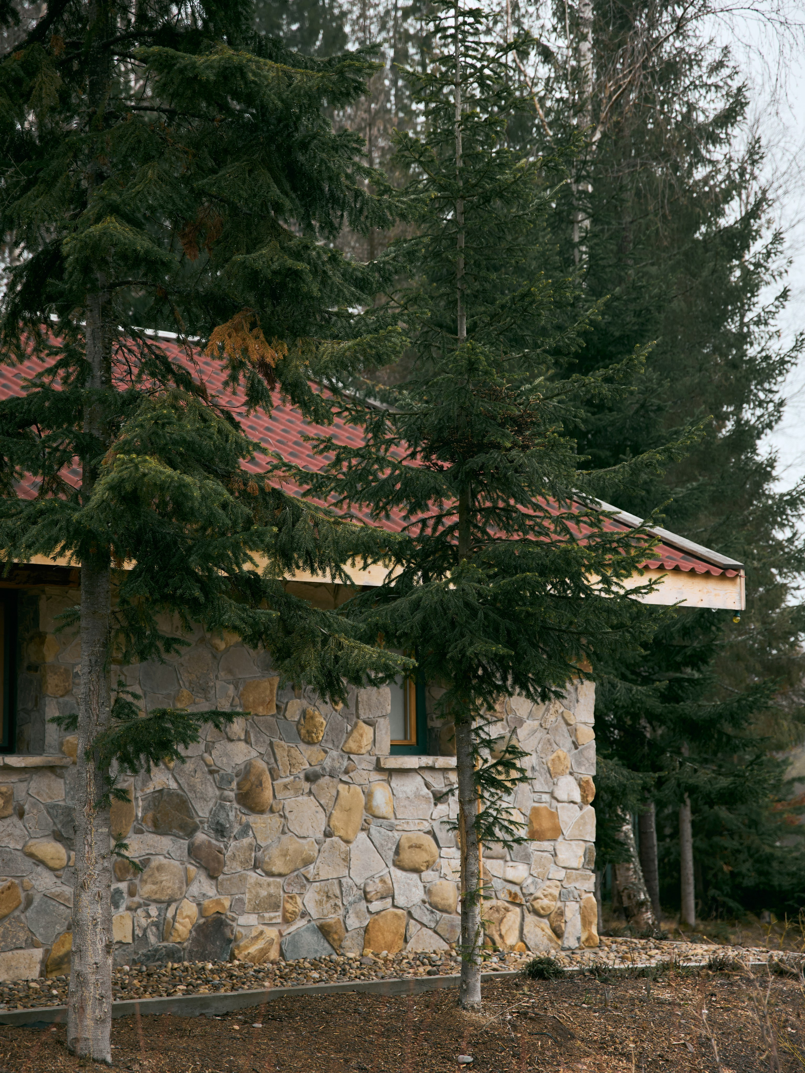 ЧТО, ЕСЛИ СЧАСТЬЕ — ЭТО ТАМ, ГДЕ ТЫ И Я?. Свадебный фотограф Анна Чащухина