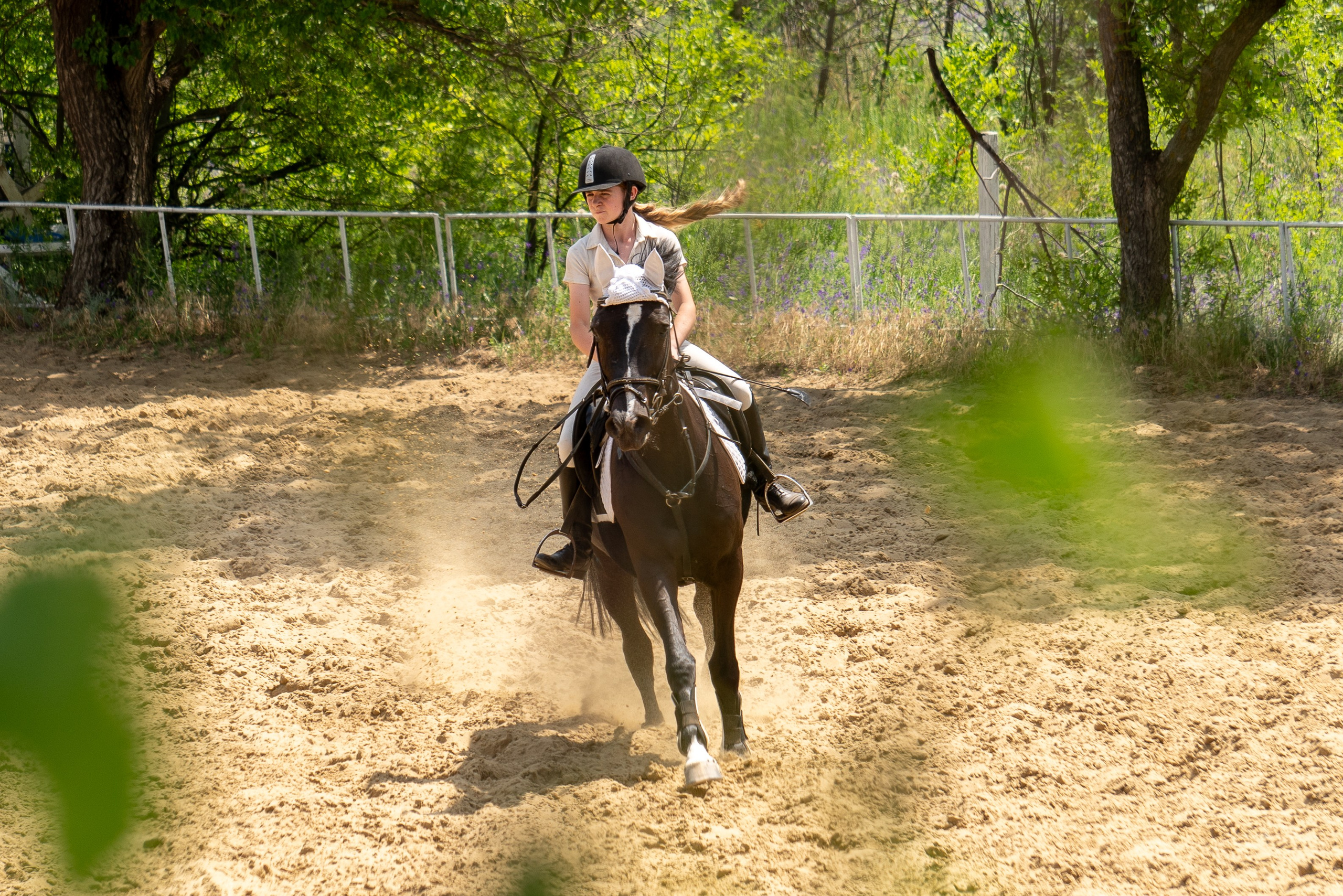 Соревнования по конкуру, Луганск. Фотограф в РФ и ЛНР Юлия Федосеева