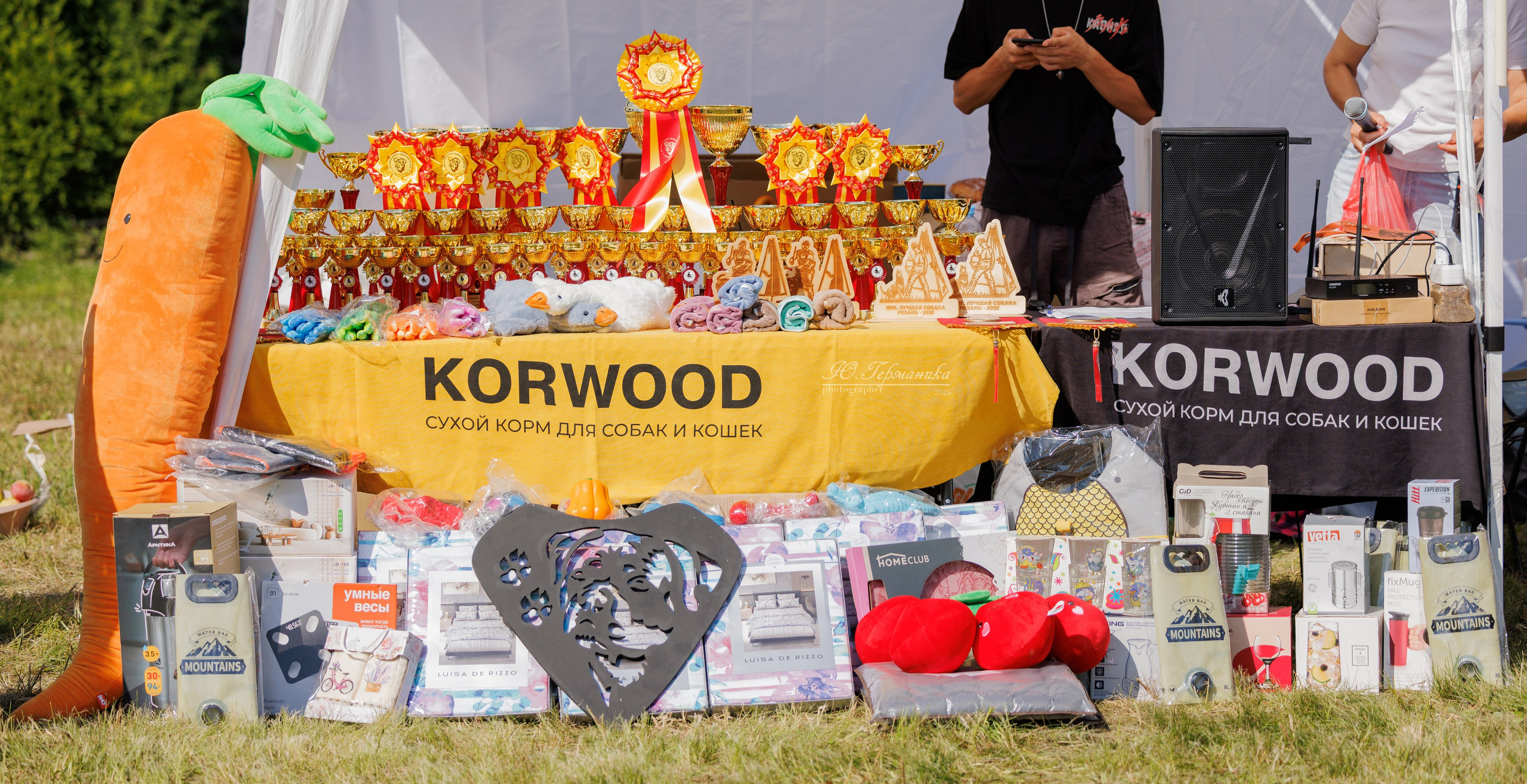 Рязань 2хмоно ротвейлеры 16-17.08.2025. Фотограф-анималист Юлия Германика