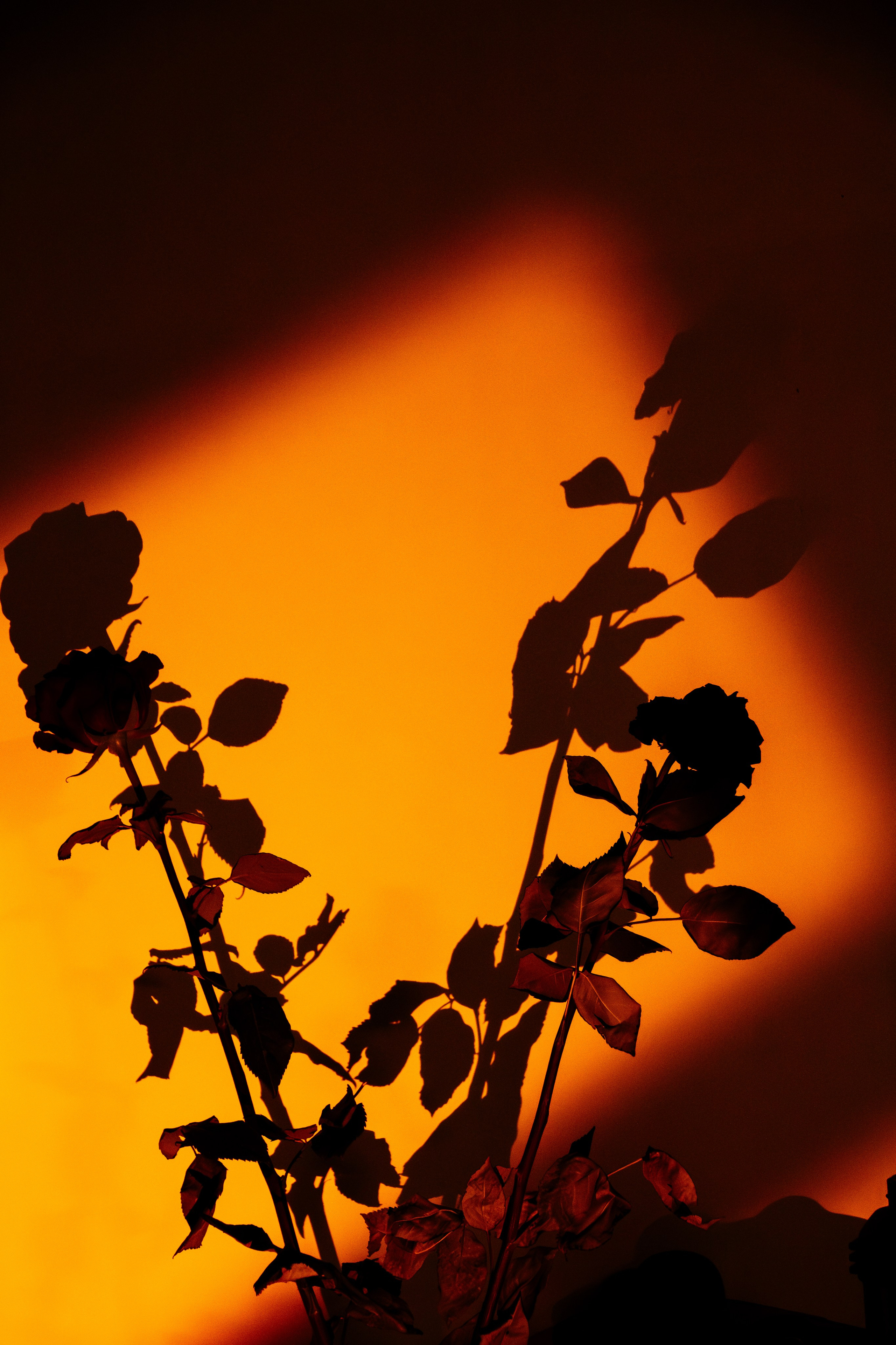 Reportage. Photographer Mary Matveenko
