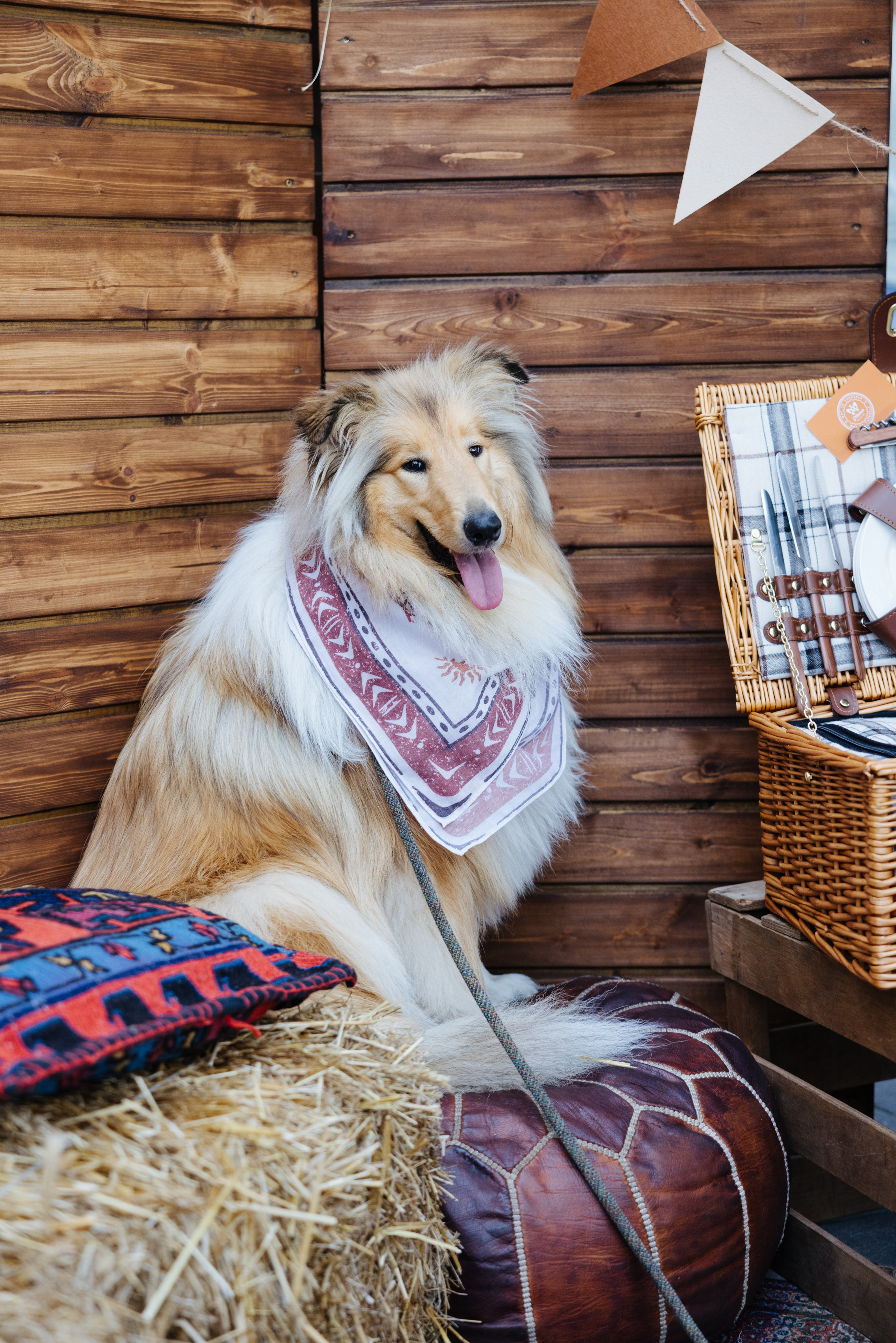 9–10 августа 2025 на Даниловском рынке / День 1 / фото Валерий Белобеев. Фотоотчеты «Ламбада-маркета»