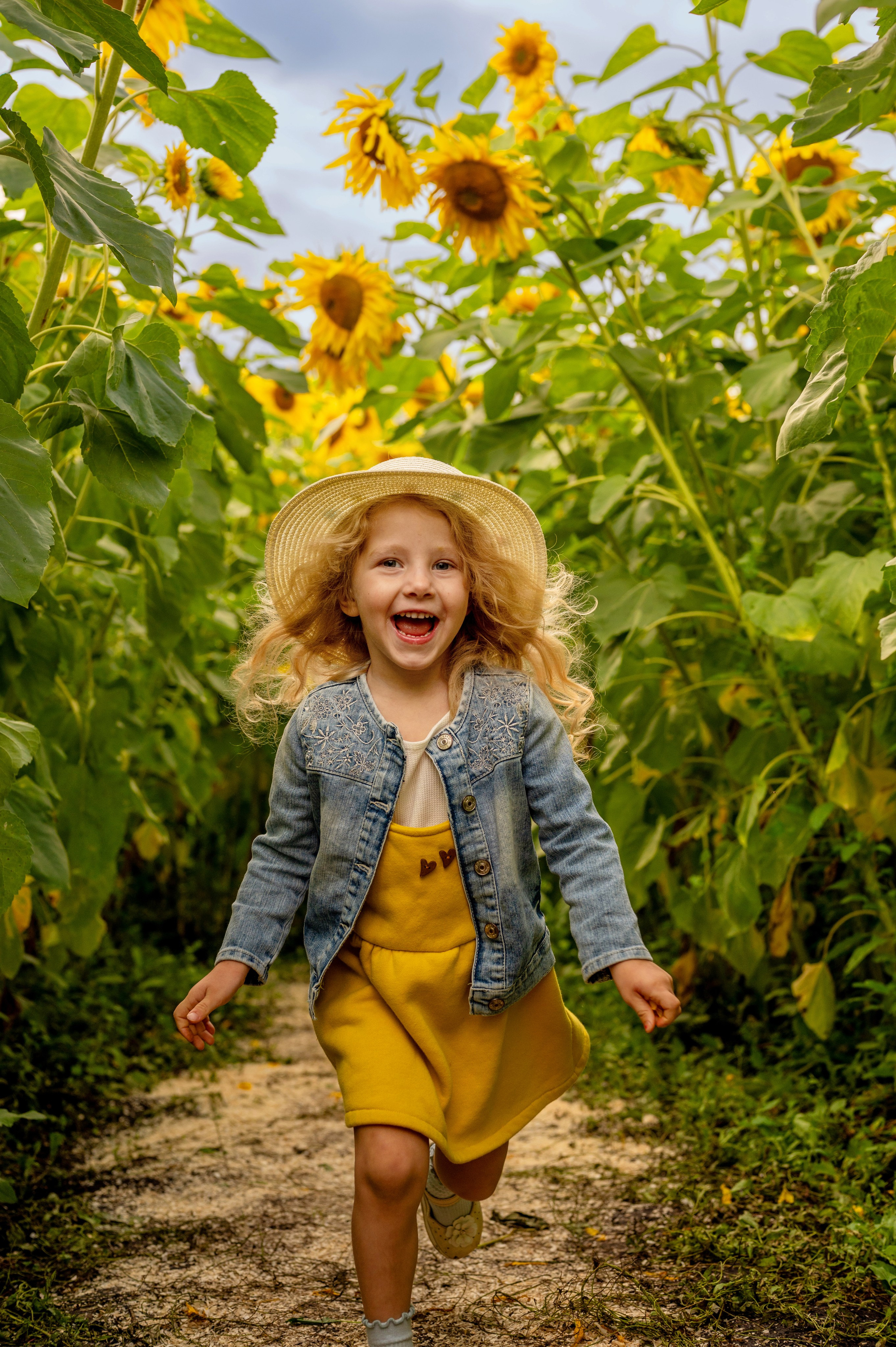 Подсолнухи. Фотограф новорожденных, семейный детский в Тюмени Татьяна Морозова