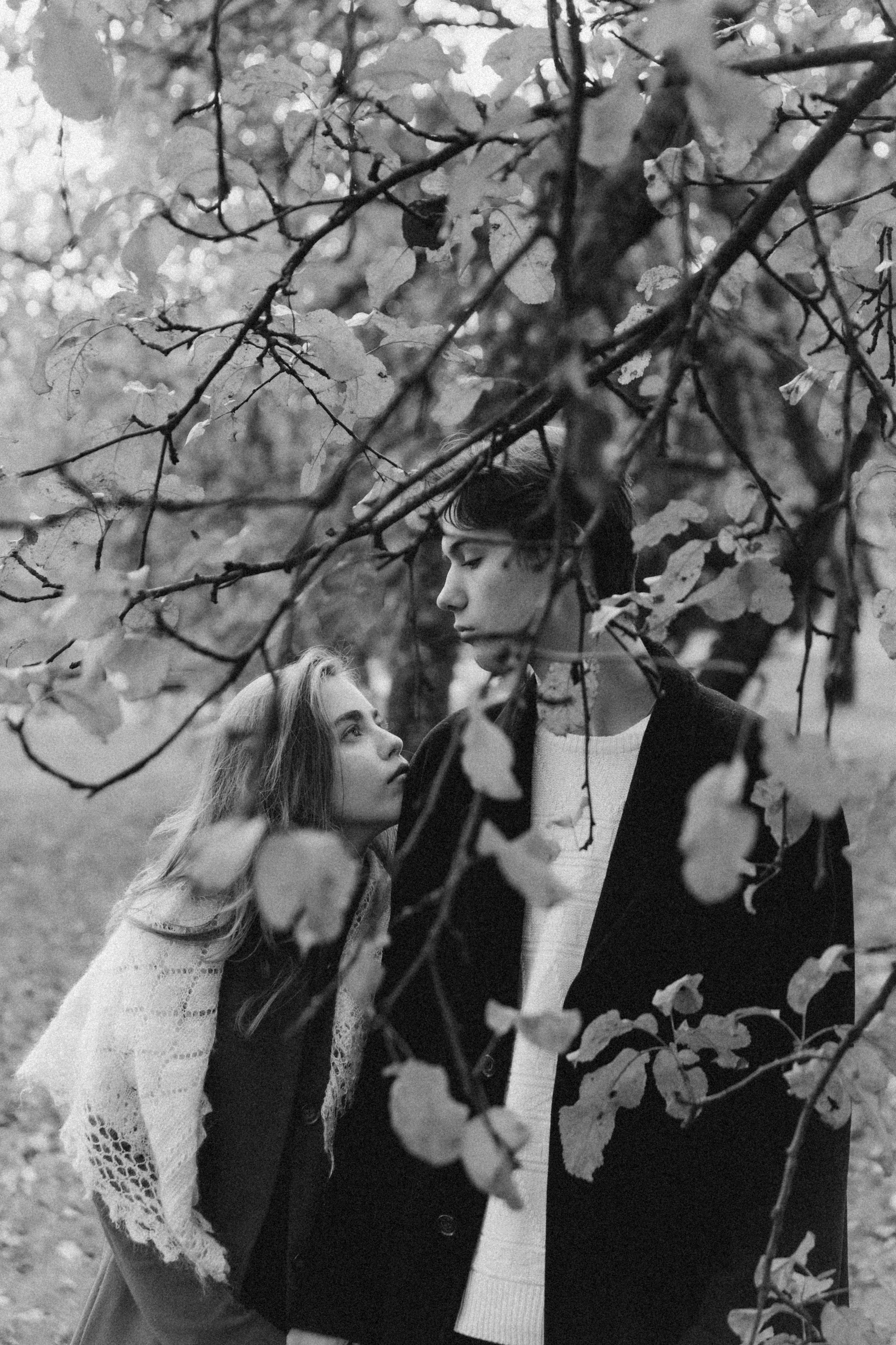 Галки, ветки и любовь. Фотограф Москва Селюкова Юлия