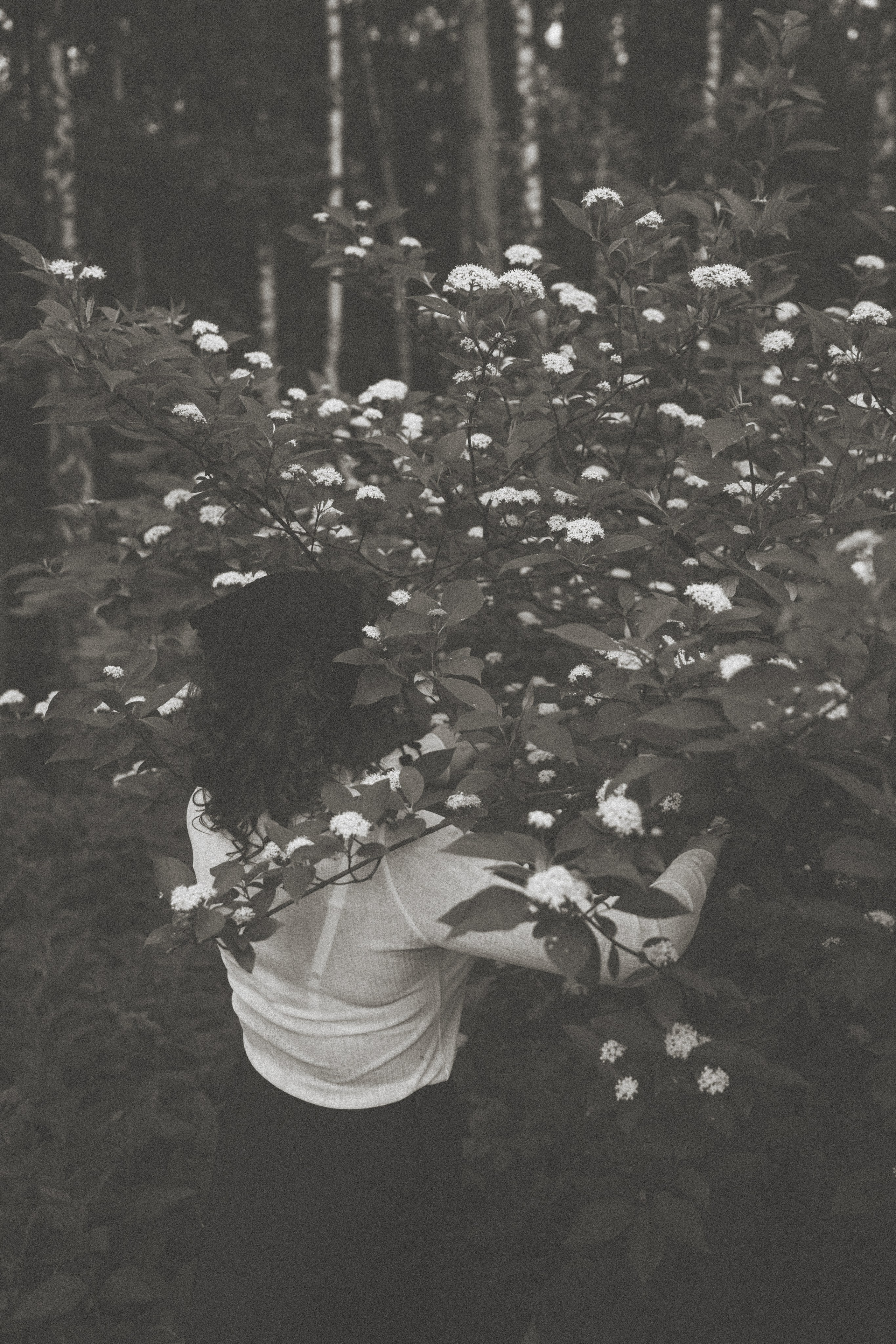 Между маем и июнем. Фотограф Москва Селюкова Юлия