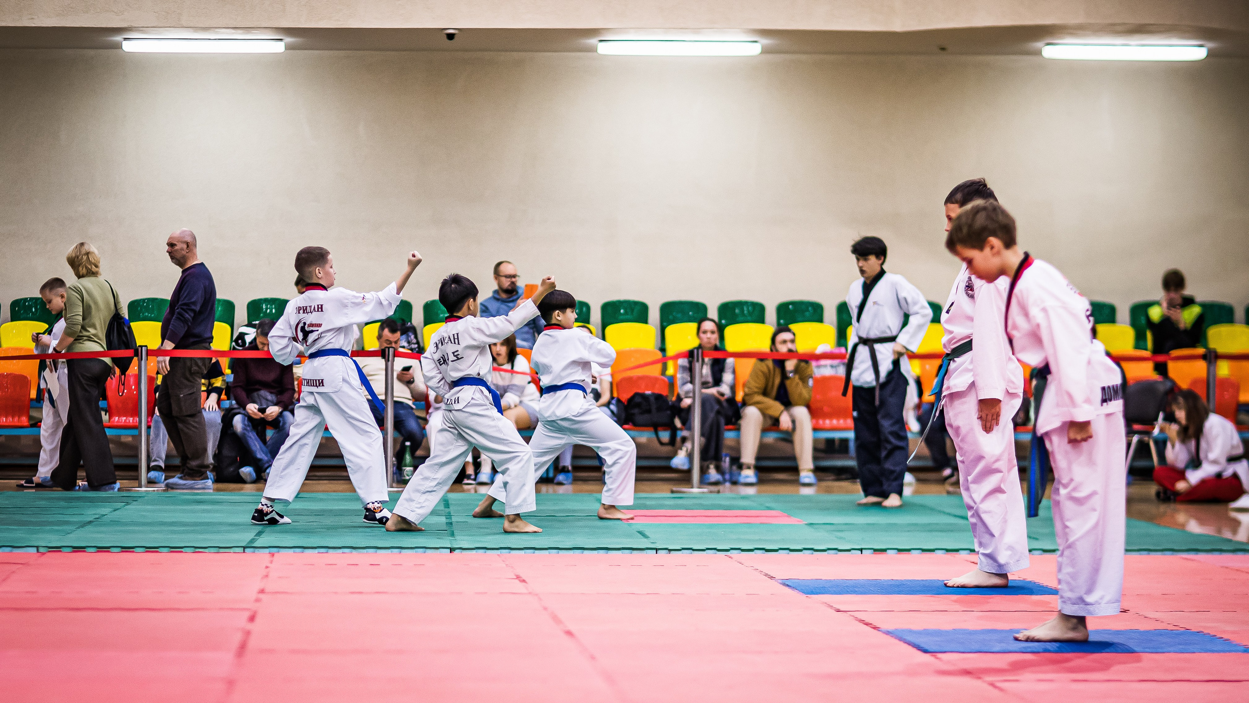 Турнир Федерации детского тхэквондо России по дисциплине ПХУМСЭ. Спортивный фотограф Максим Серегин