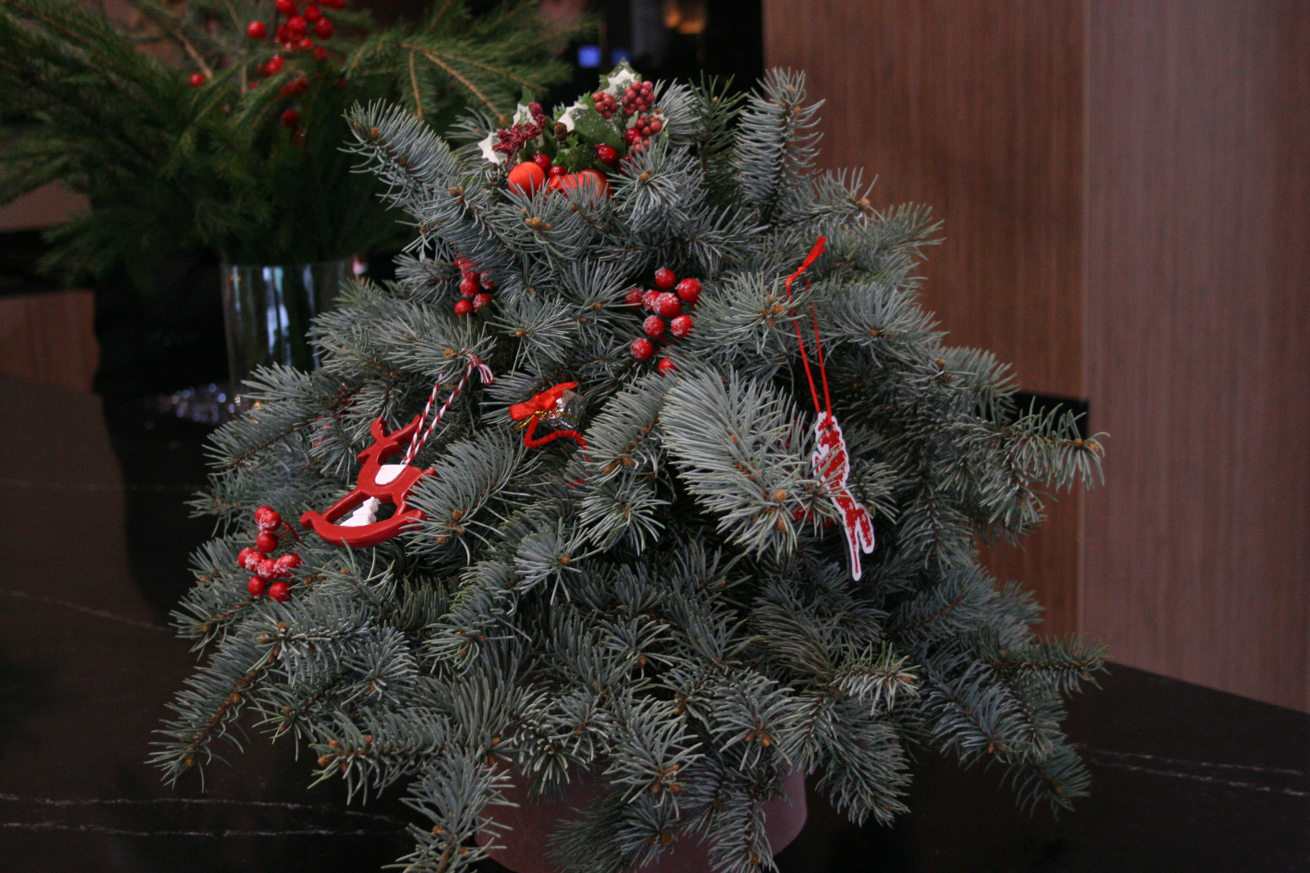 Антистресс Девичник в Агора Лофт. Креативный фотограф