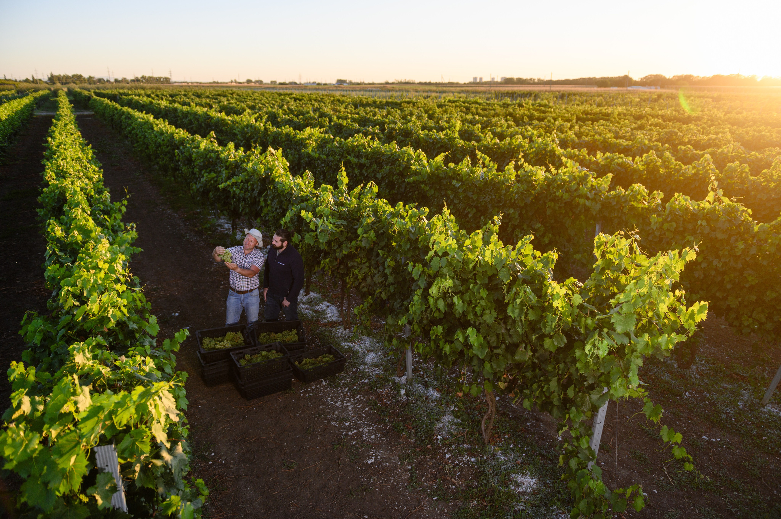 Проекты. Профессиональный фотограф Вячеслав Плацында | Липецк |