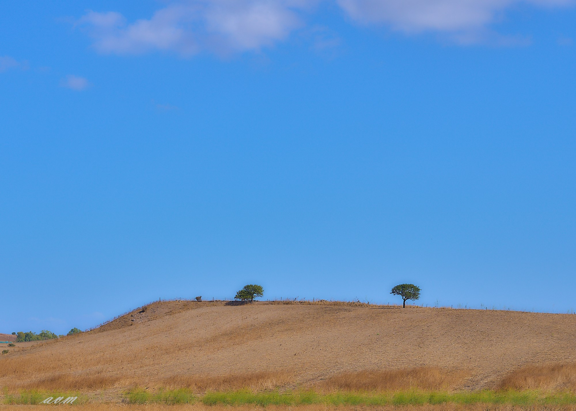 Сардиния. Фотограф Михеев Андрей