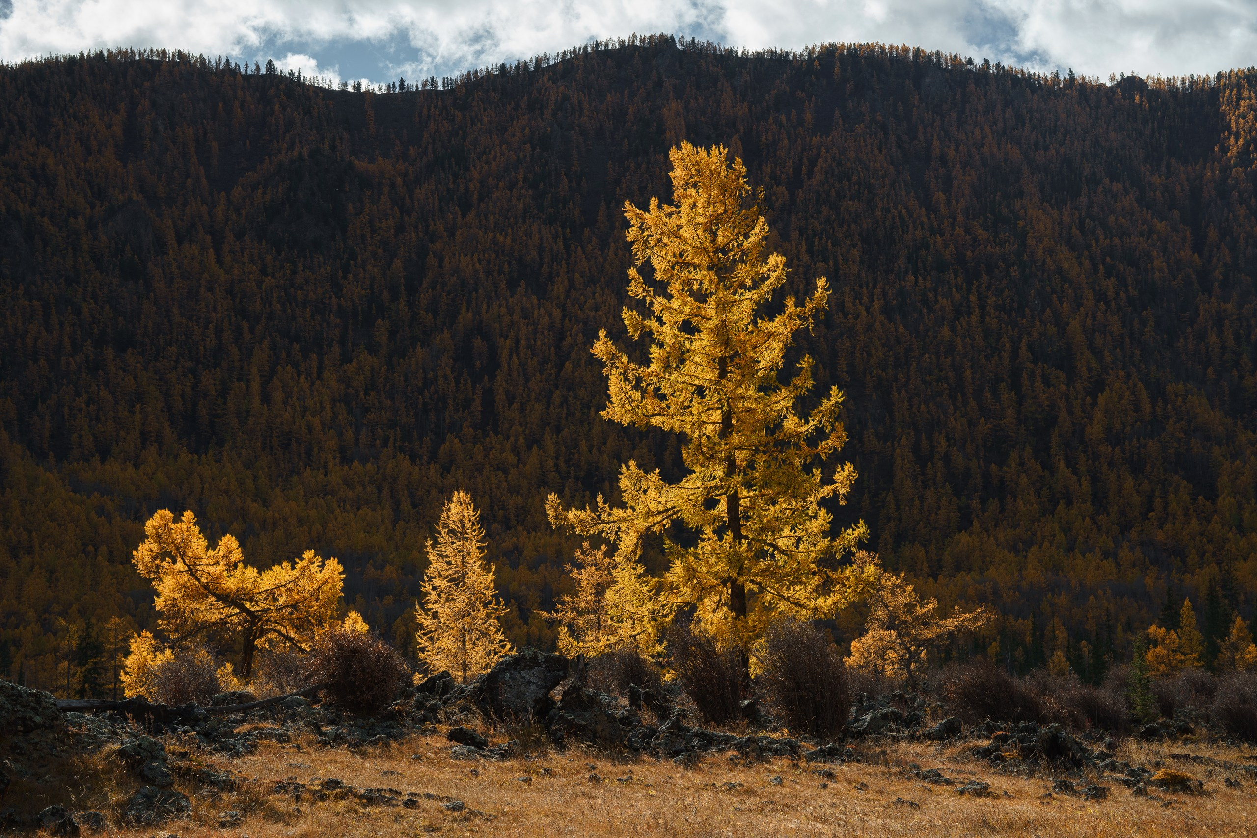 Бурятия. Фотограф в Красноярске Нерозя Александр. Пейзаж, природа, портрет